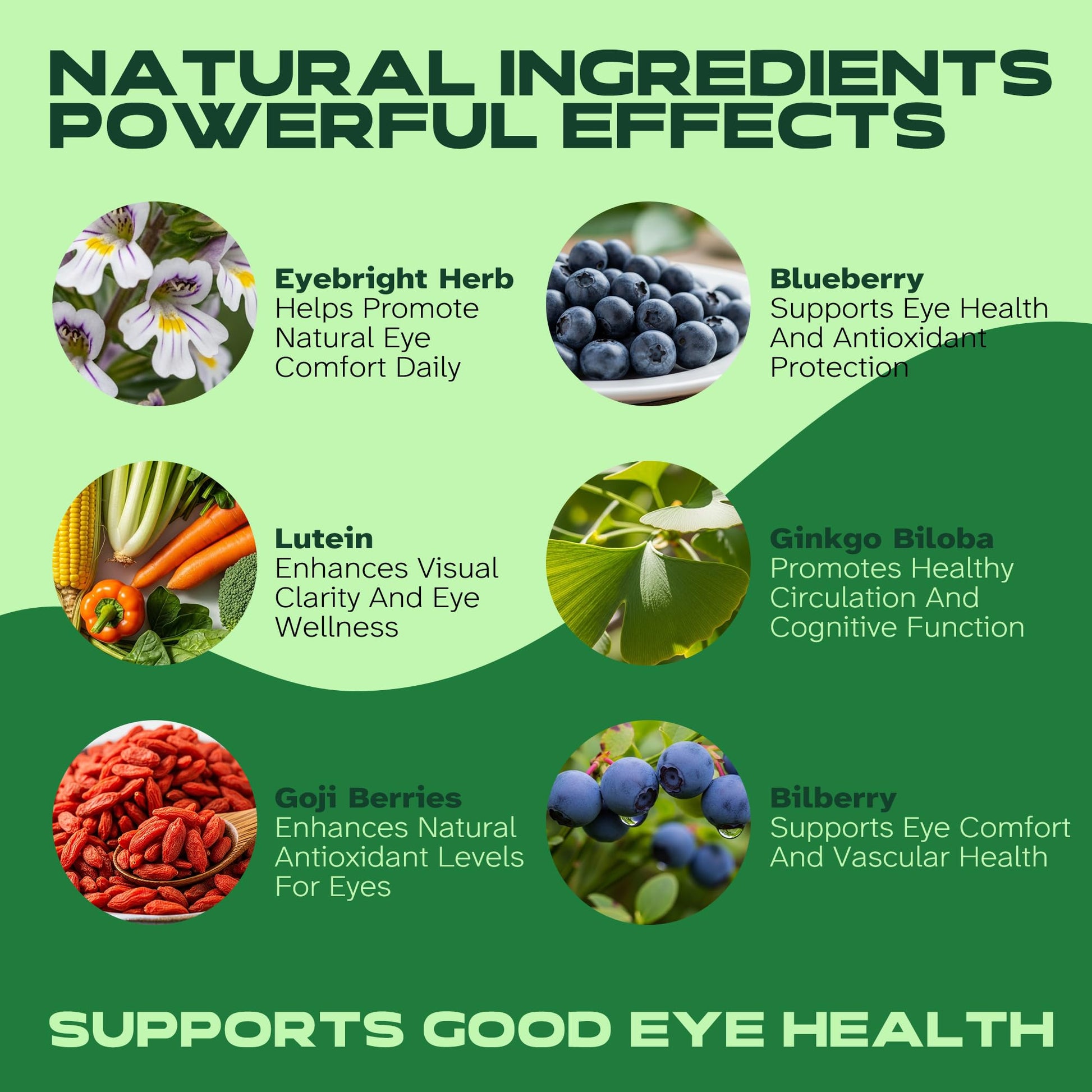 Vitalumina Eyebright Herbal Liquid with Organic Euphrasia, Lutein, Bilberry, Blueberry & Goji – Plant-Based Vegan Supplement for Adults – 4 fl oz Vitalumina Au supplements