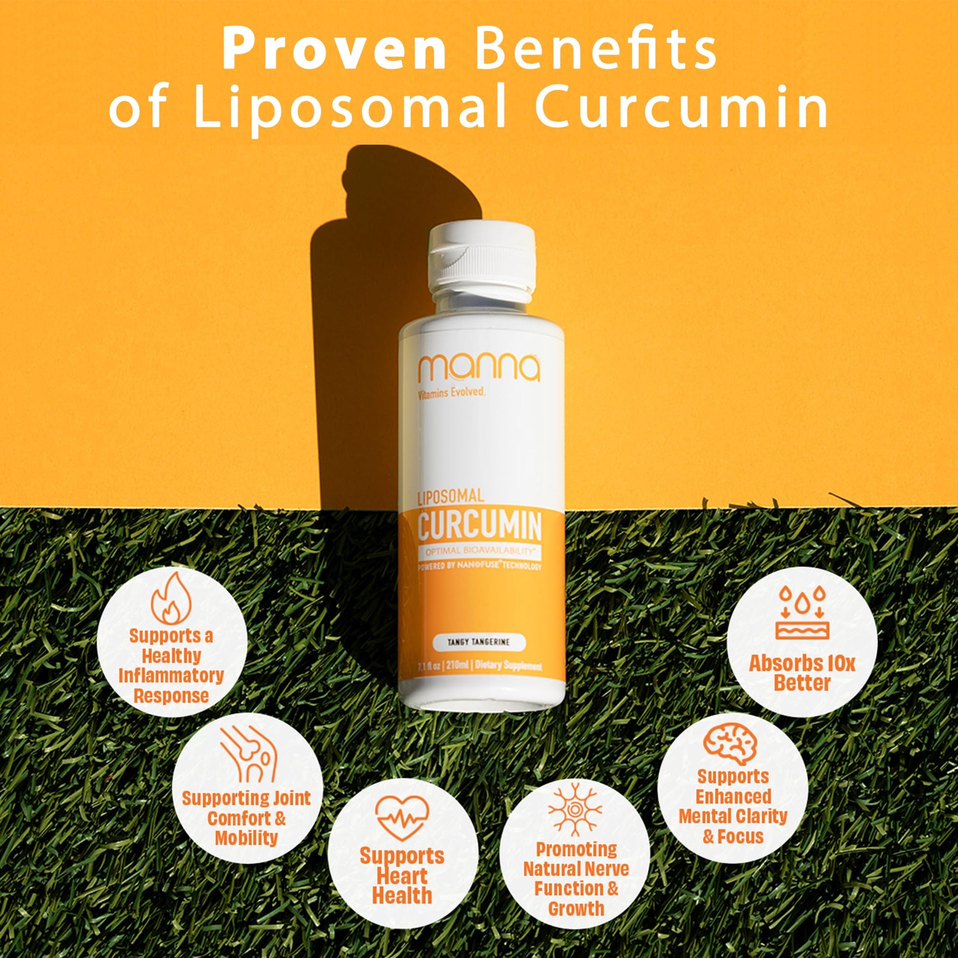 Manna Vitamins Evolved Liposomal Liquid Curcumin for Advanced Absorption Best Turmeric Supplement for Daily Joint & Immune Health Support - Vegan, Non-GMO, 95% Curcuminoids (1 Pack) Manna Vitamins Evolved Au supplements