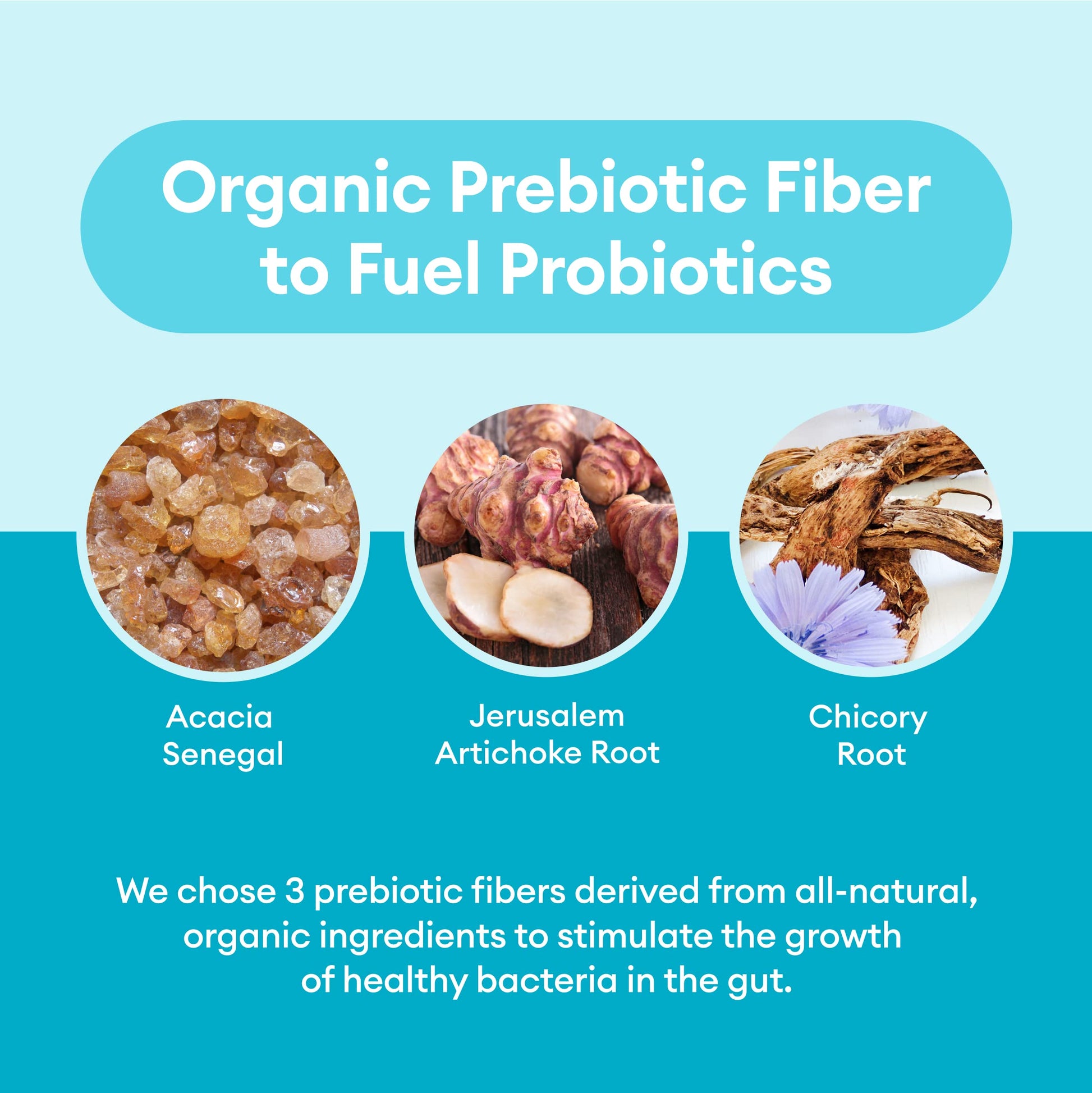 Physician's CHOICE Probiotics 60 Billion CFU - 10 Strains + Organic, 60ct Physician's CHOICE Au supplements