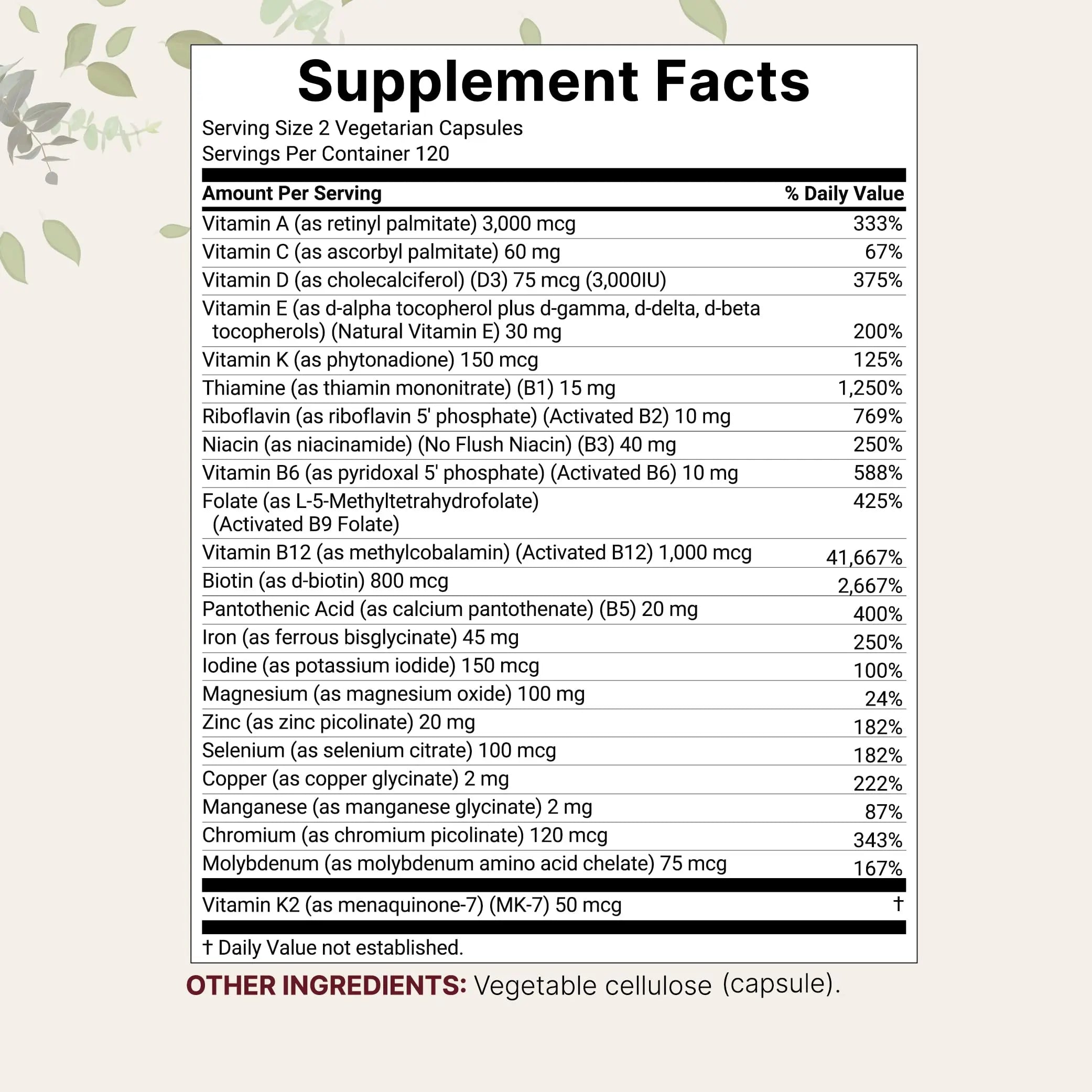 Micro Ingredients Methylated Bariatric Multivitamin with 45mg Iron, 240 Veggie Capsules | 23-in-1 Essential Vitamins with D3, K2, Zinc & More | Micro Ingredients Au supplements