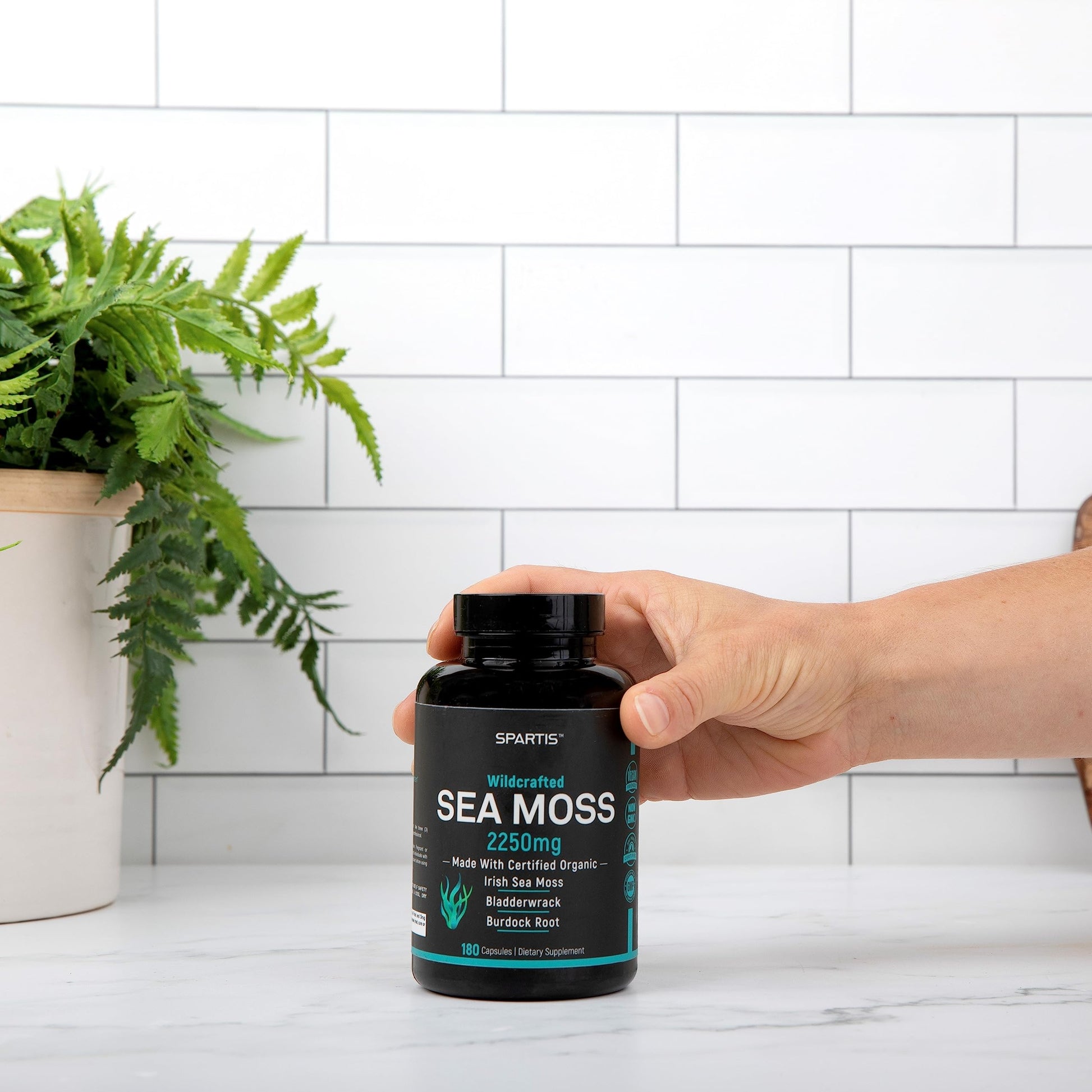 Certified Organic Sea Moss Capsules 2250mg Wildcrafted Irish Sea Moss Burdock Root SPARTIS Au supplements