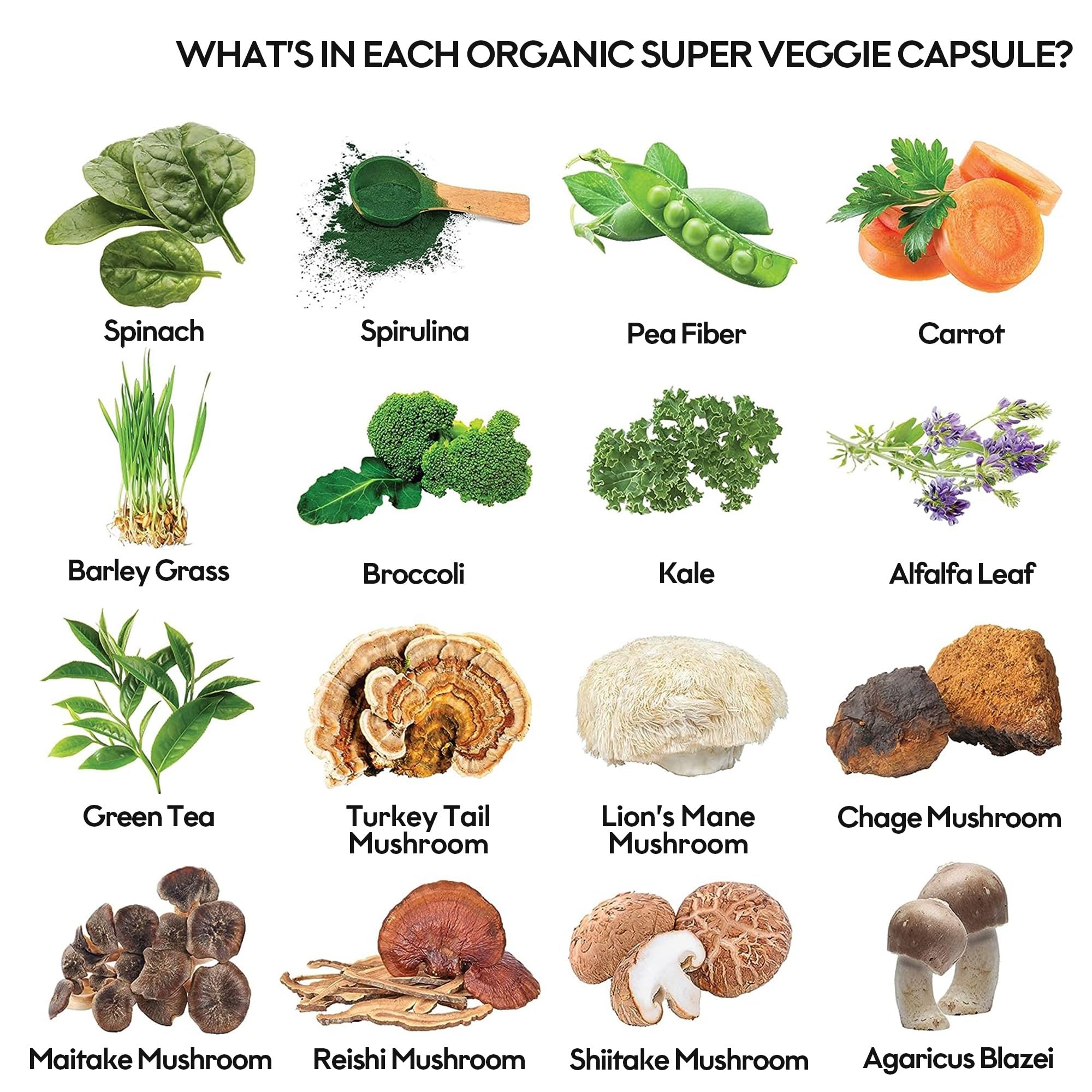 Fruits and Veggies Supplement (60 Day Supply) Powerfull Blend of 39 Whole Fruits and Veggies, Fills Nutritional Gaps, Get Energy, Well-being. USA Made Non-GMO/Vegan/Gluten Free. Packaging May Vary ROOTIE Au supplements