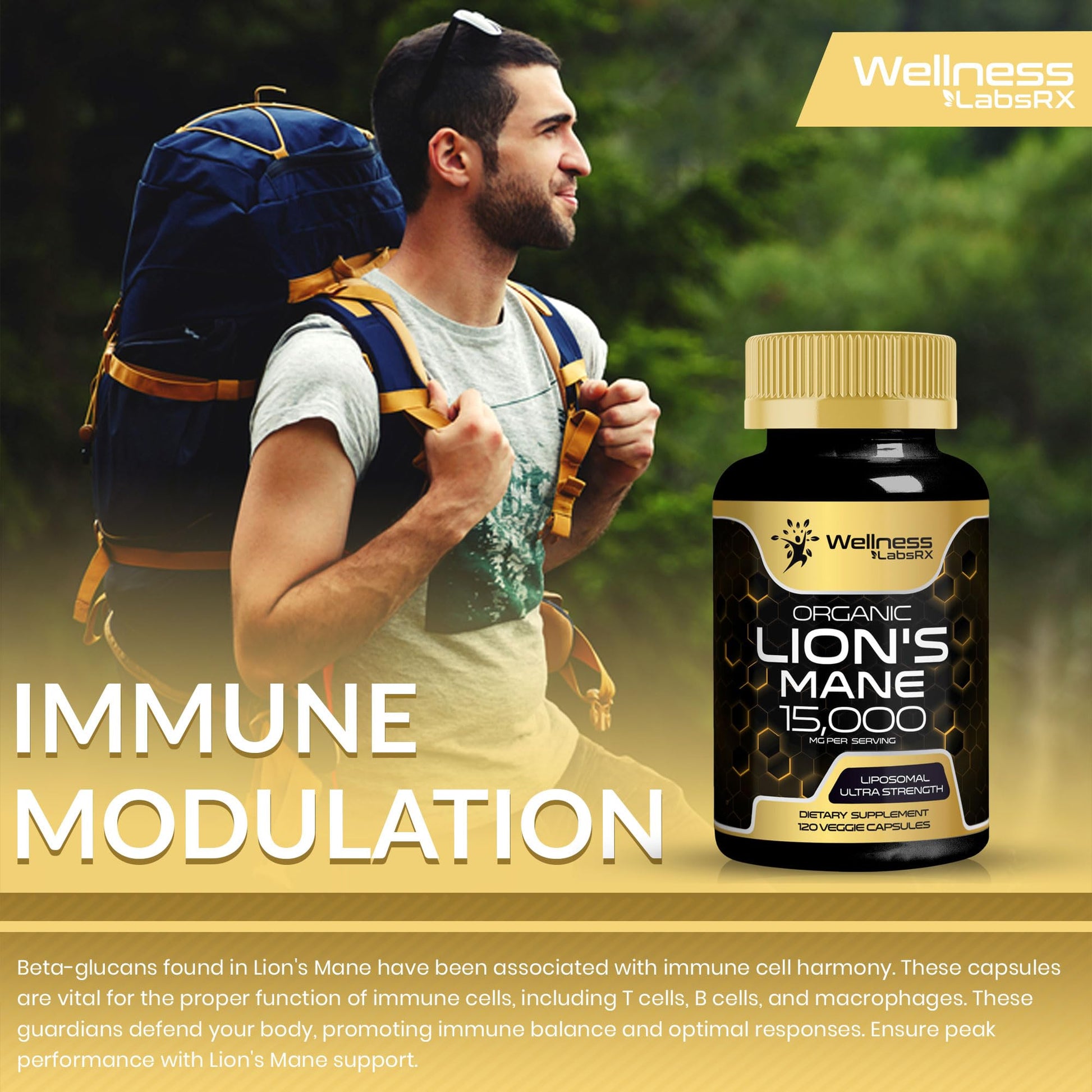 Lions Mane Supplement Capsules - 120 Count - Mushroom Supplement, Brain Supplements WELLNESS LABSRX Au supplements