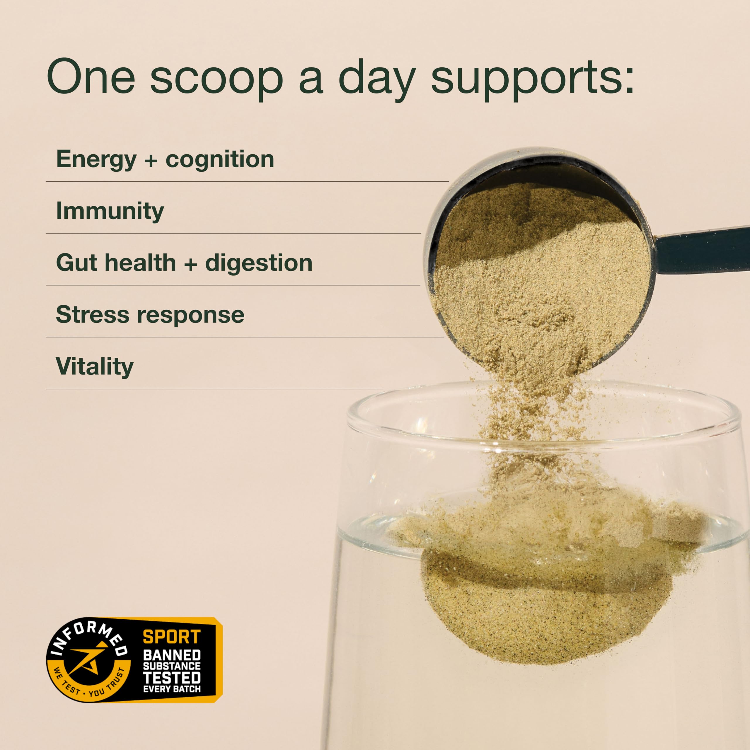 Nuzest Greens Powder Good Green Vitality – Vitamins, Minerals & Superfoods – Vegan Multivitamin Supplement (300g) Nuzest Au supplements
