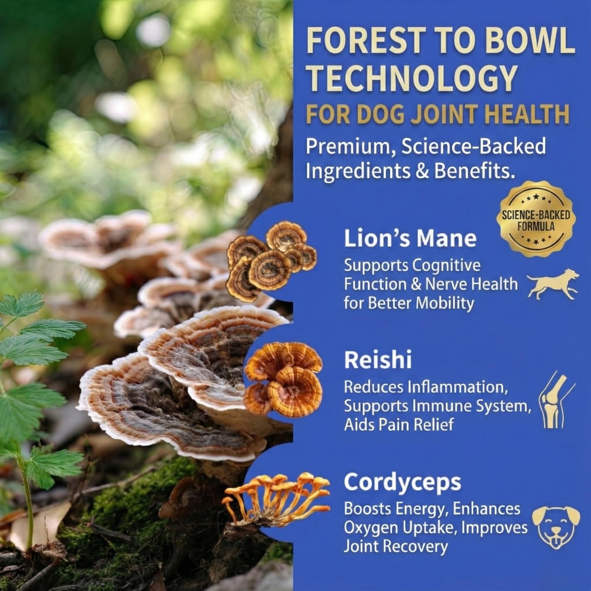 Fifth & Fido Joint Supplement for Dogs - Glucosamine for Dogs - Pet Vitamins and Supplements Powder with Chondroitin & MSM - Hip & Joint Support for Mobility, Stiffness & Flexibility - Mushroom Blend Fifth & Fido Au supplements