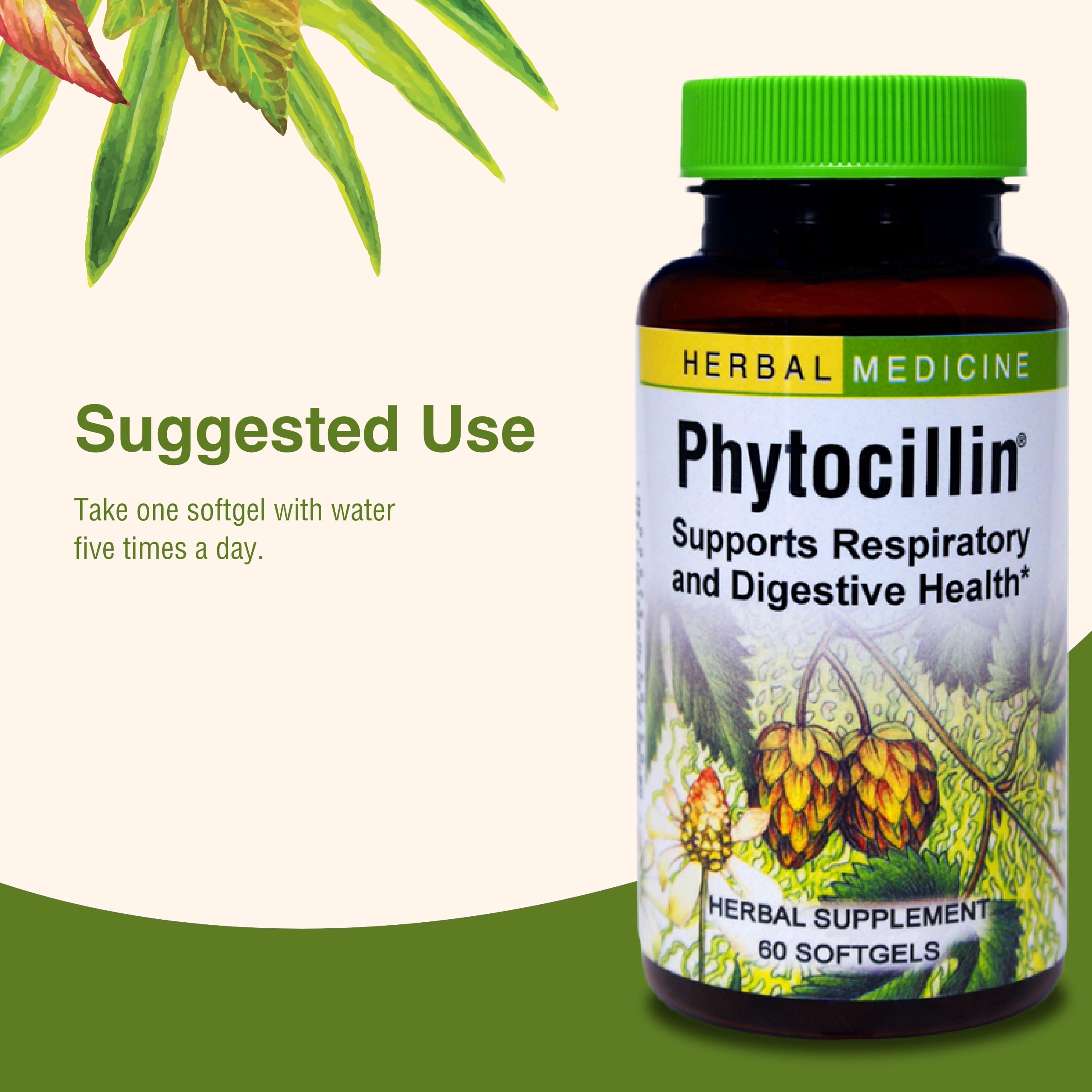 Herbs Etc. Phytocillin - Respiratory & Digestive Health Support Supplement - Herbal Formula to Support Digestion - Support Healthy Breathing - 60 Softgels (60 Servings) Herbs Etc. Au supplements