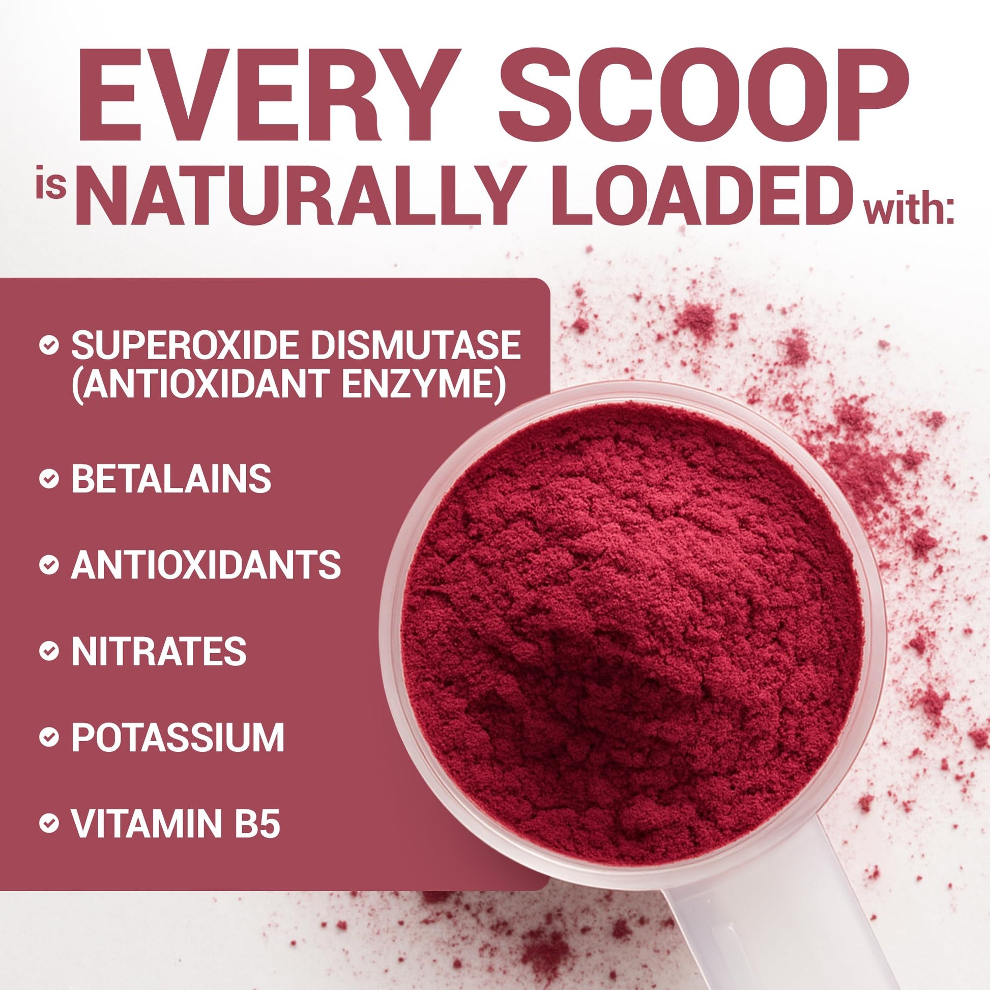 Dr. Berg Raw Organic Beet Powder from Real Earth-Grown Beets – USDA Certified Organic Beet Root Powder to Support Nitric Oxide Levels, Energy, Blood Flow, & Heart Health* – 30 Servings Dr. Berg Nutritionals Au supplements