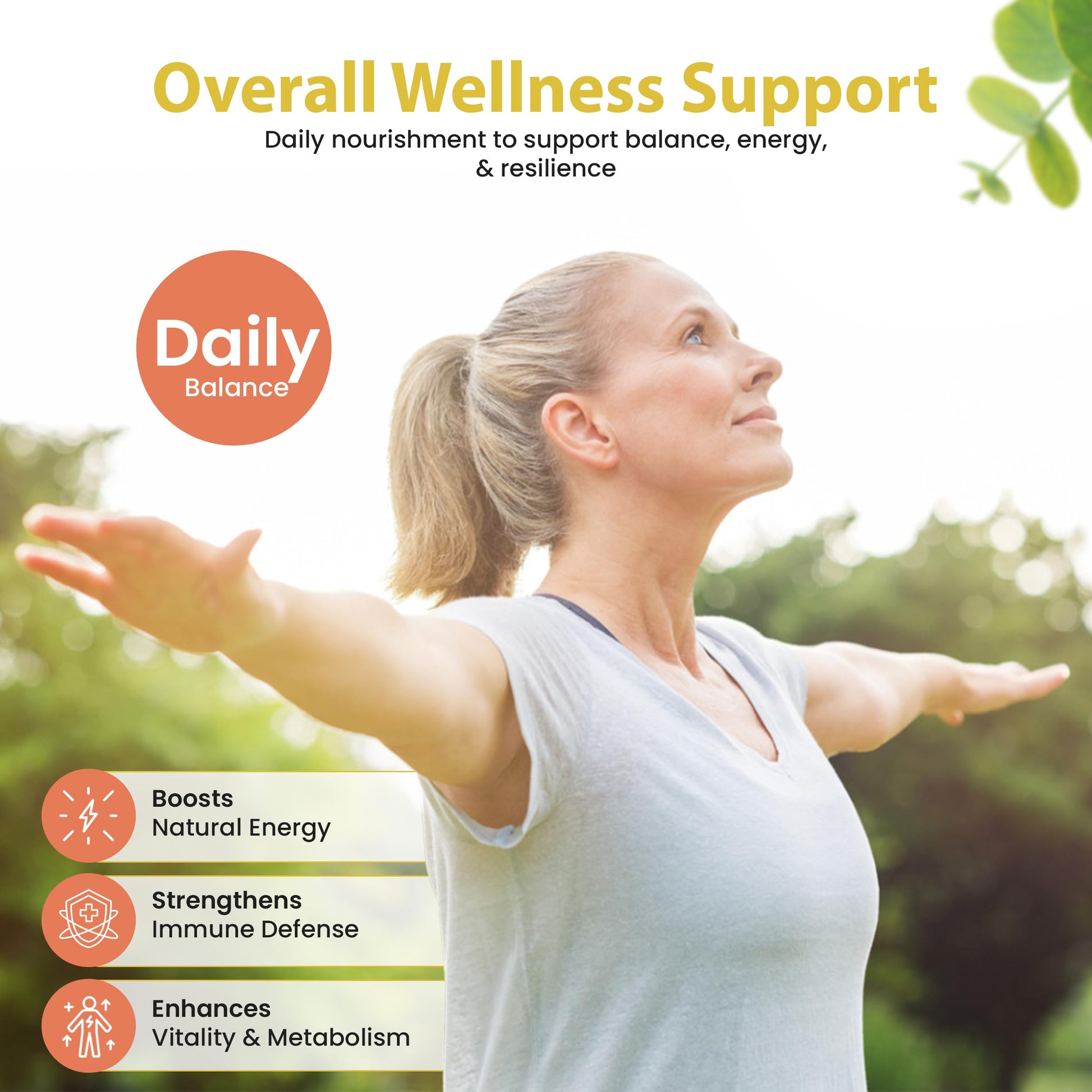 Bella All Natural Moringa Capsules 60 Count - Moringa Oleifera Leaf Supplement with Pomegranate & Elderberry Flavor, Pure Organic Moringa Capsules for Immune, Energy & Skin Health Support Bella All Natural Au supplements