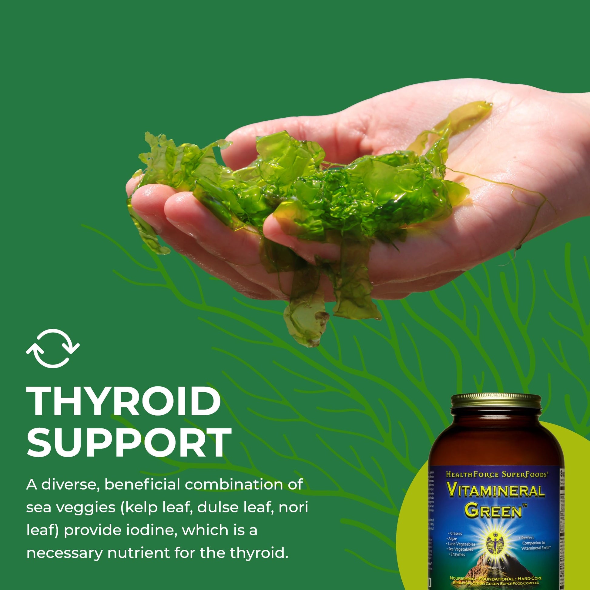 HEALTHFORCE SUPERFOODS Vitamineral Green - Mineral Supplement for Immune & Thyroid Support - Green Powder Supplement with Ingredients from The Land - Gluten-Free & Vegan - 500 Grams HEALTHFORCE SUPERFOODS Au supplements