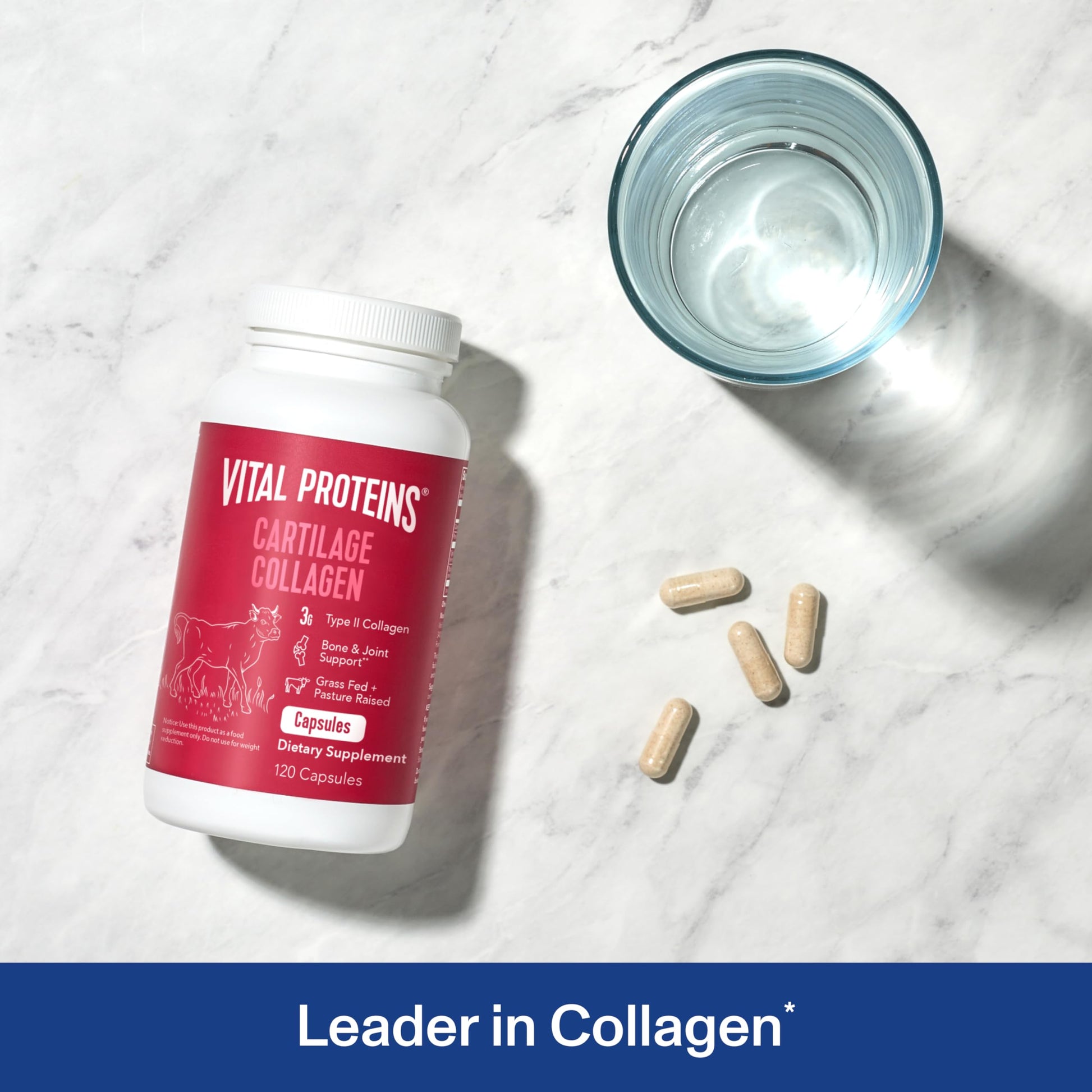 Vital Proteins Cartilage Collagen Pills, Type II Collagen & Chondroitin Sulfate Supplement for Recovery & Healthy Hair, Skin, Nails and Joints - 750 mg Serving with 120 Capsules Vital Proteins Au supplements