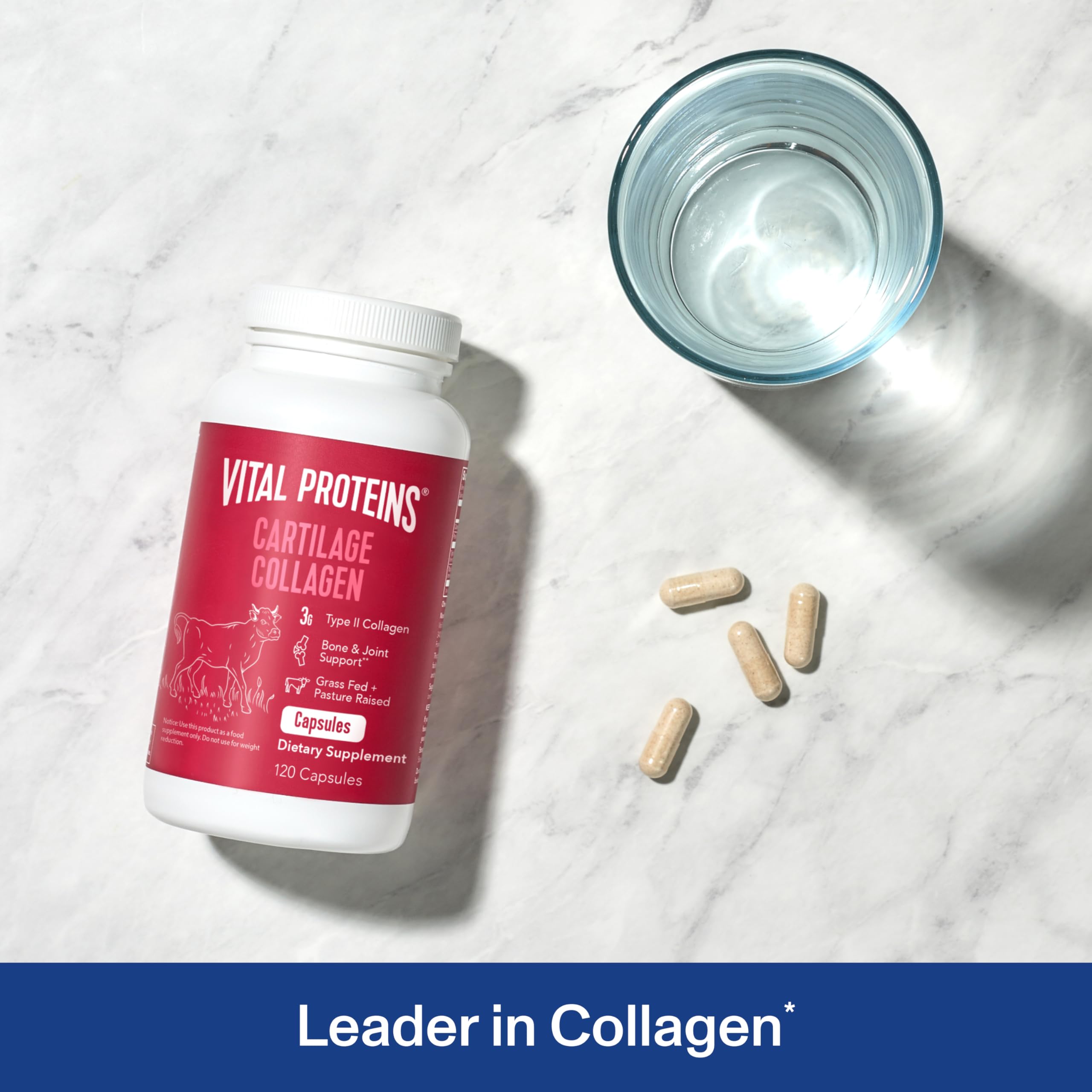 Vital Proteins Cartilage Collagen Pills, Type II Collagen & Chondroitin Sulfate Supplement for Recovery & Healthy Hair, Skin, Nails and Joints - 750 mg Serving with 120 Capsules Vital Proteins Au supplements