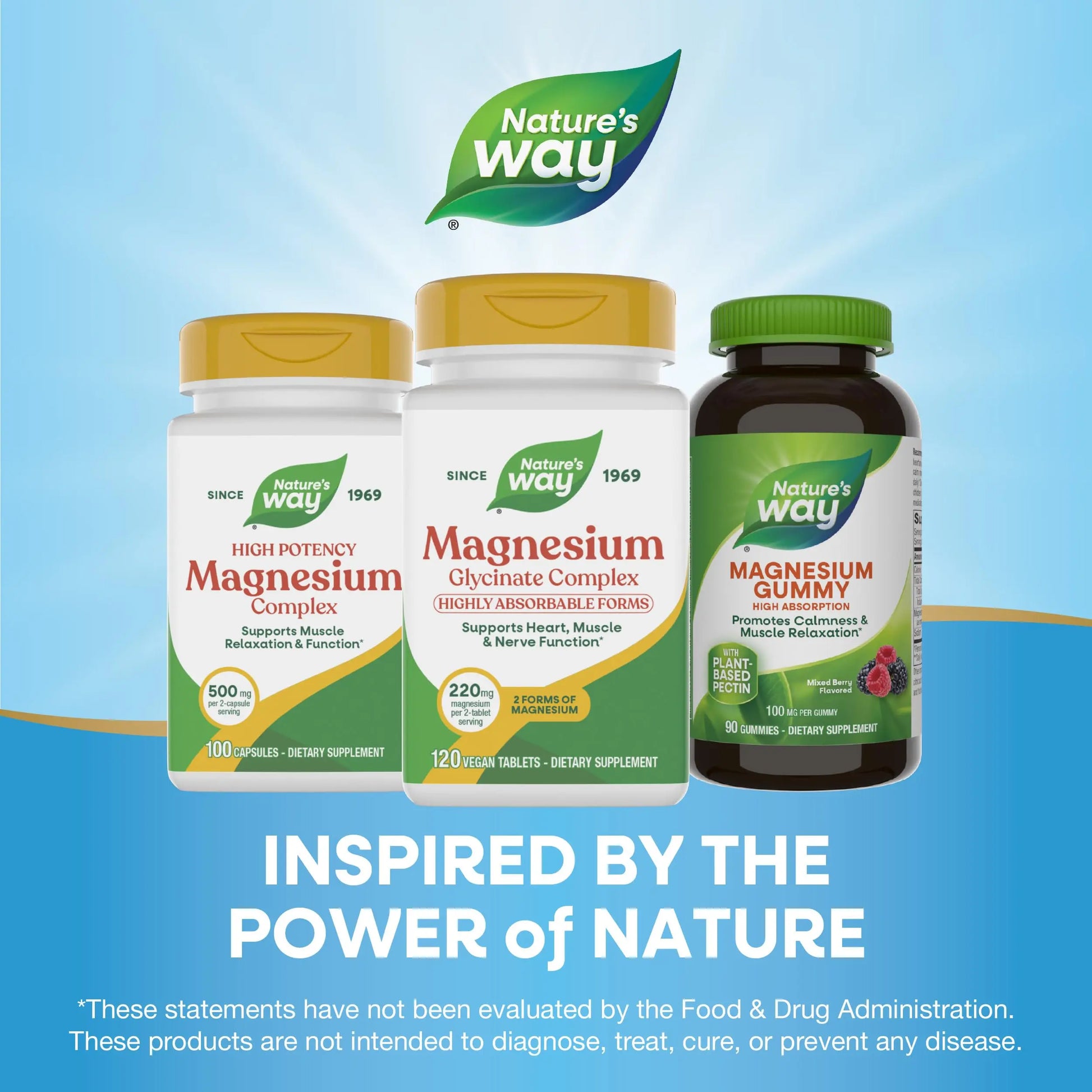 Nature's Way Magnesium Glycinate Complex, Supports Heart, Muscle, Nerve Function*, Highly Absorbable, 220 mg per 2-Tablet Serving, No Gluten, Vegan, 120 Tablets Nature's Way Au supplements