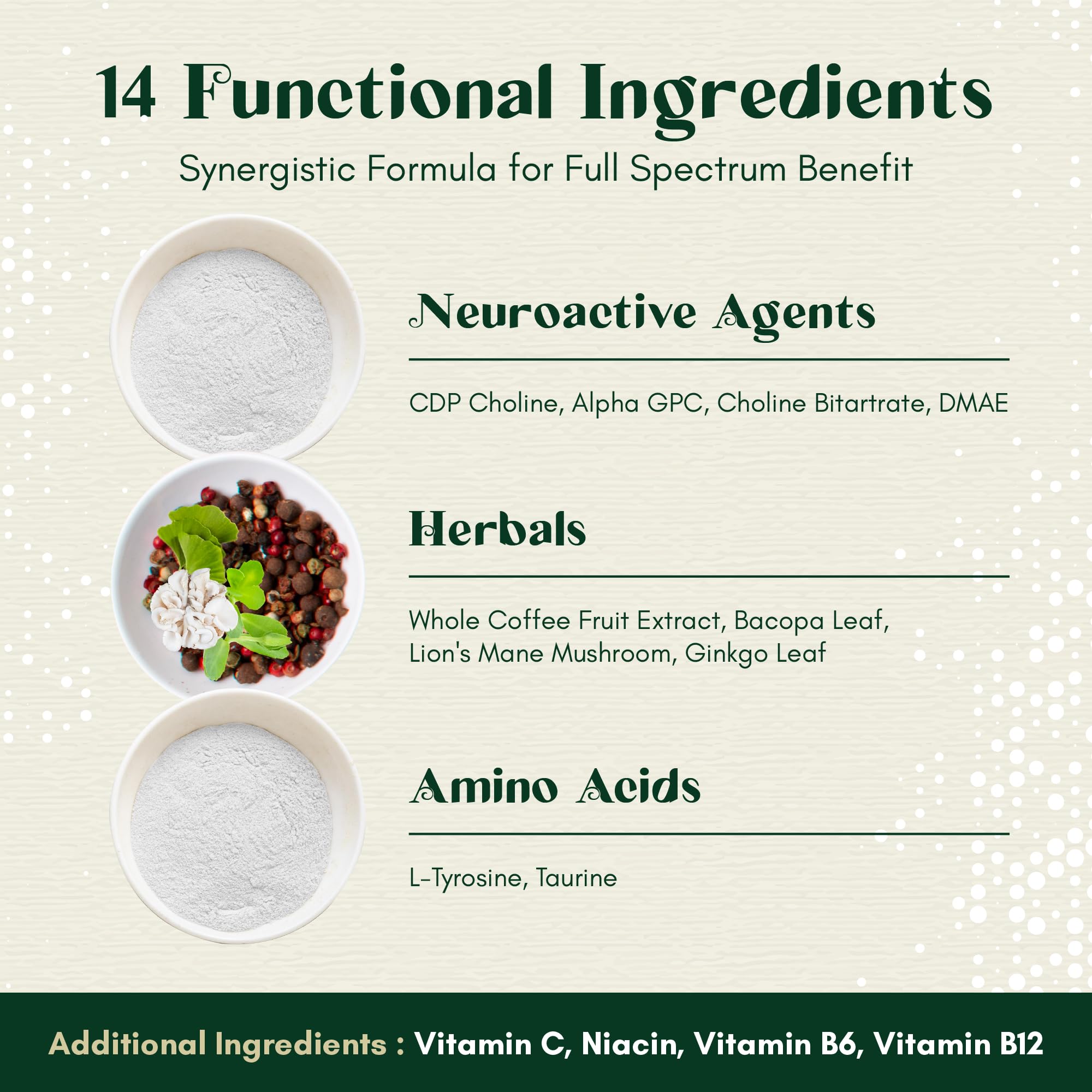 Rootful Mind Alpha Focus Nootropic - Memory and Focus Brain Booster Supplement with Choline, Citicoline, GPC, L-Tyrosine, Bacopa Monnieri, DMAE, Gingko Biloba, Lion's Mane, Niacinamide - 60 Capsules Rootful Mind Au supplements