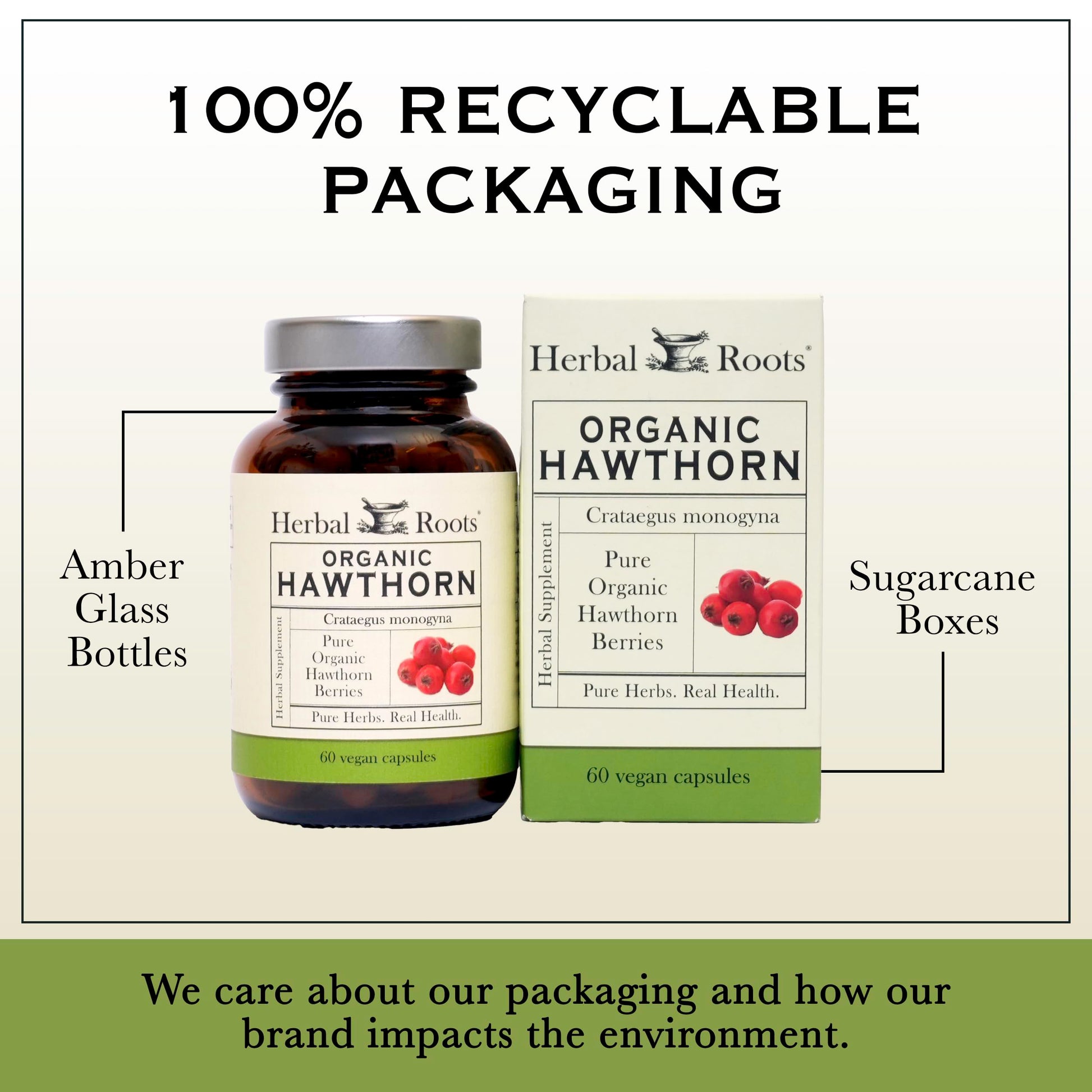 Herbal Roots Organic Hawthorn Berry Capsules | Extra Strength 1,200mg per Serving Herbal Roots Au supplements