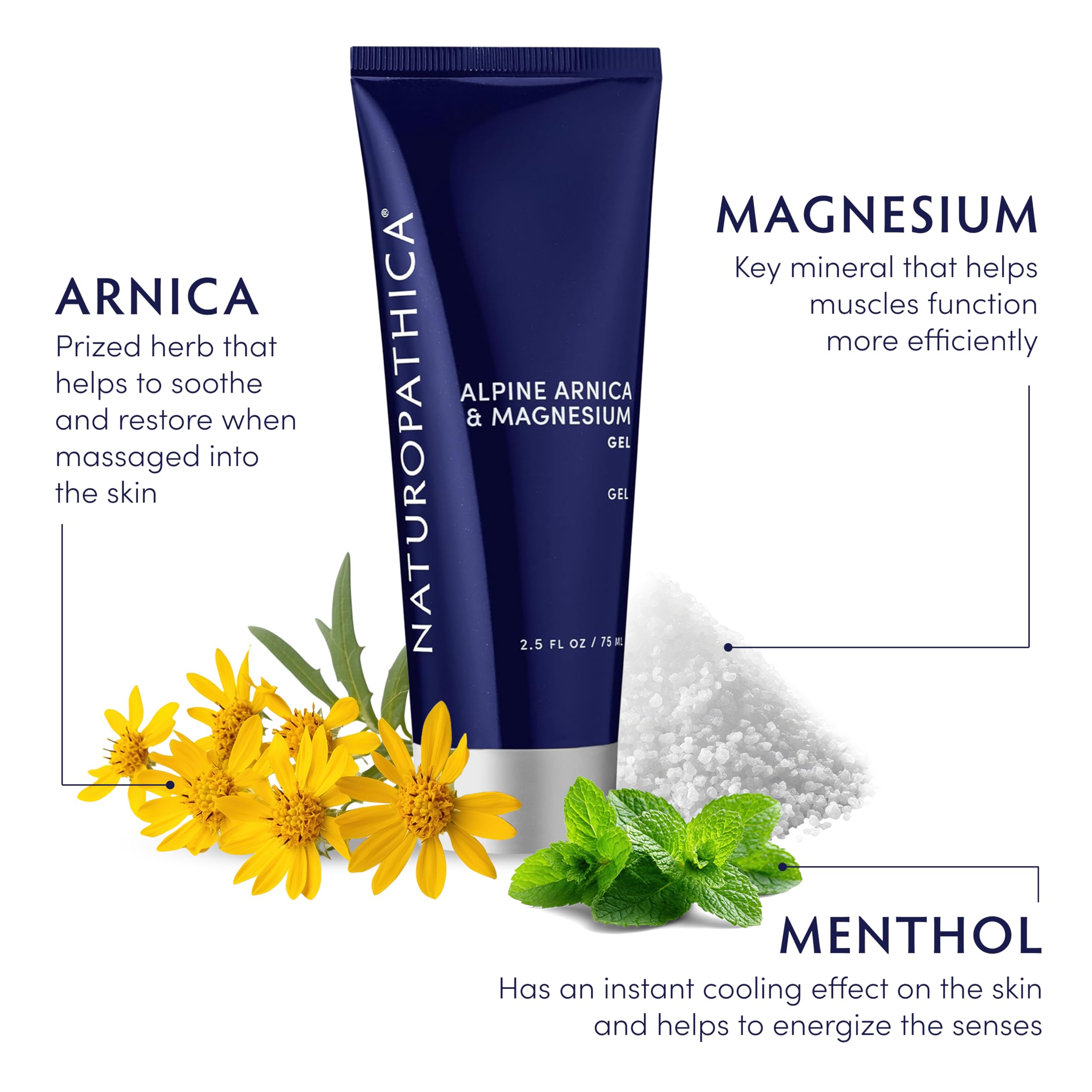 Naturopathica Alpine Arnica & Magnesium Gel, Cooling Massage Gel with Menthol for Muscle Discomfort and Relaxation, 2.5 fl oz Naturopathica Au supplements