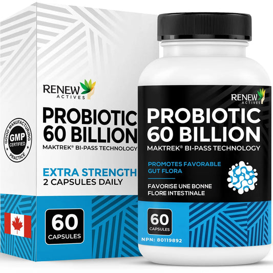 Renew Actives Probiotic Supplement for Digestive Health 60 Billion CFU per 2 Capsules - Advanced Formula with Prebiotic Benefits - Supports Gut Flora Balance & Wellness - Made in Canada - 60 Capsules Renew ActivesAU supplements