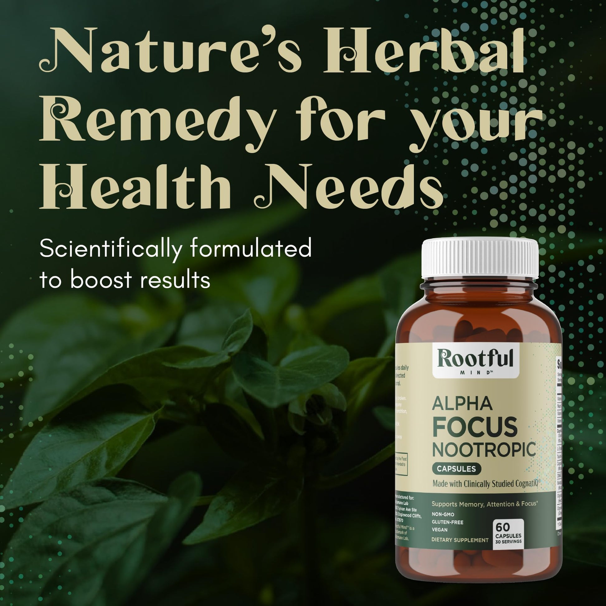 Rootful Mind Alpha Focus Nootropic - Memory and Focus Brain Booster Supplement with Choline, Citicoline, GPC, L-Tyrosine, Bacopa Monnieri, DMAE, Gingko Biloba, Lion's Mane, Niacinamide - 60 Capsules Rootful Mind Au supplements