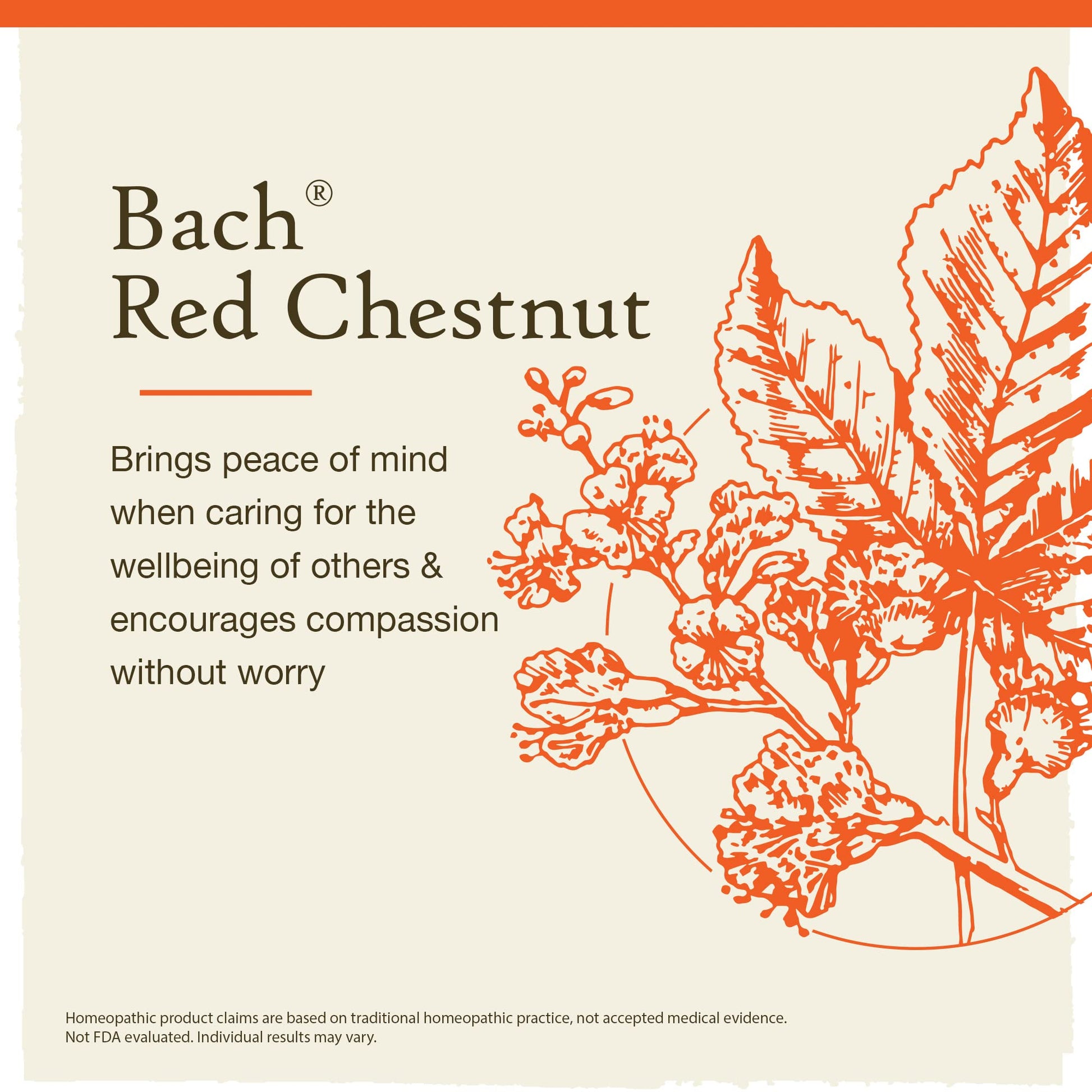 Bach Original Flower Remedies, Red Chestnut for Peace of Mind (Non-Alcohol Formula) Bach Au supplements