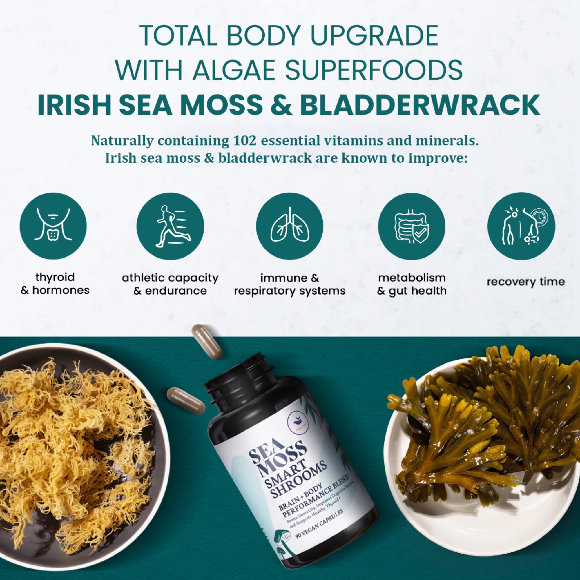 HAPPY FOX Irish Sea Moss Capsules & Mushroom Complex - Organic Seamoss with Adaptogens for Brain Health, 1500mg, 90 Vegan Capsules, Organic Mushroom Supplement HAPPY FOX Au supplements