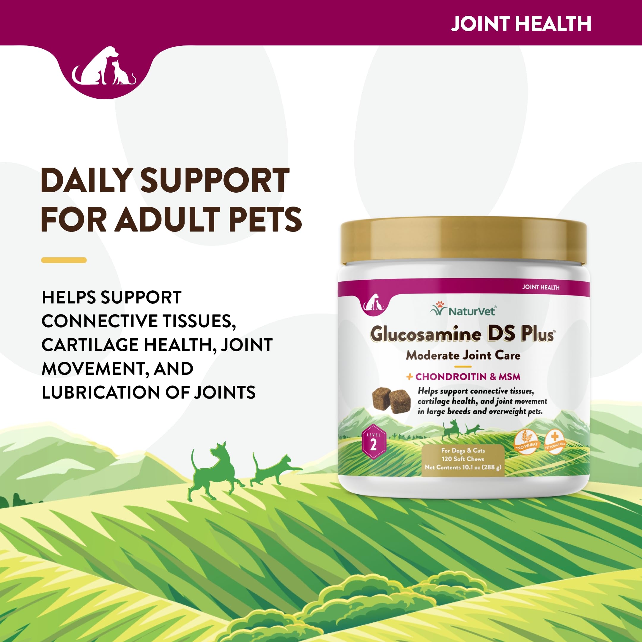 NaturVet – Glucosamine DS Plus - Level 2 Moderate Care – Supports Healthy Hip & Joint Function – Enhanced with Glucosamine, MSM & Chondroitin – for Dogs & Cats–120 Soft Chews NaturVet Au supplements