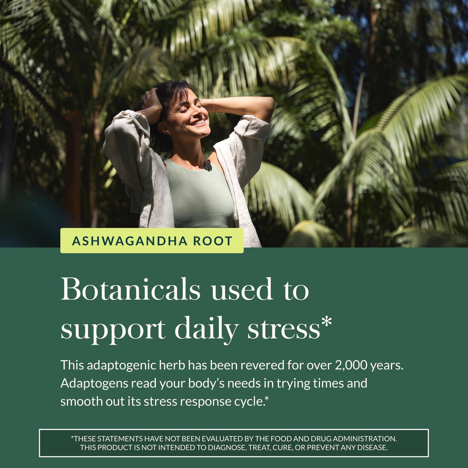 Gaia Herbs Ashwagandha Root - Stress Relief & Sleep Support Supplement - Supports Balanced Energy Levels & Positive Outlook* - 60 Vegan Liquid Phyto-Caps (30 Servings) Gaia Herbs Au supplements