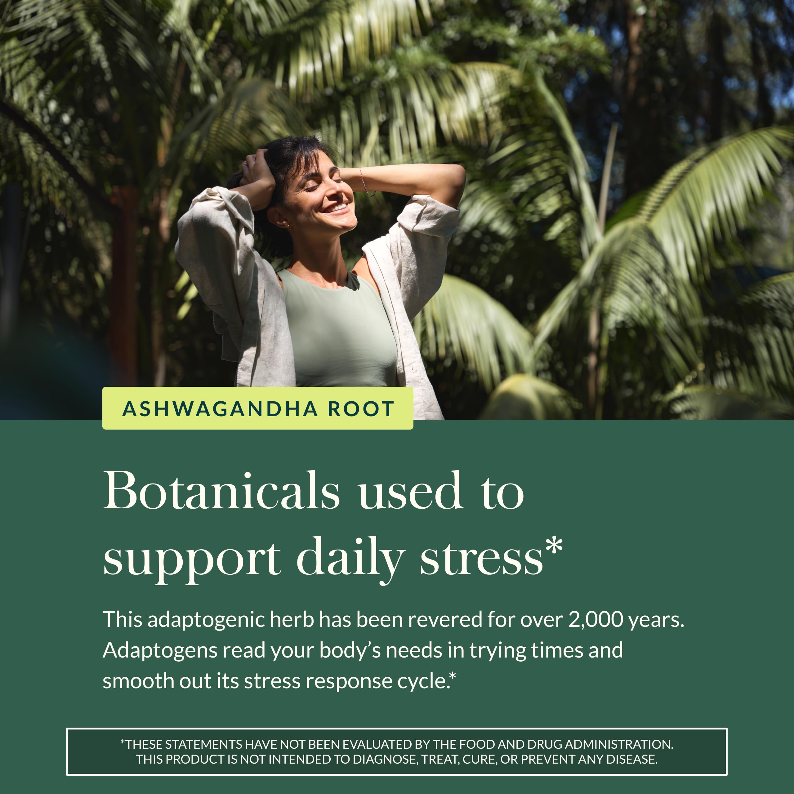 Gaia Herbs Ashwagandha Root - Stress Relief & Sleep Support Supplement - Supports Balanced Energy Levels & Positive Outlook* - 60 Vegan Liquid Phyto-Caps (30 Servings) Gaia Herbs Au supplements
