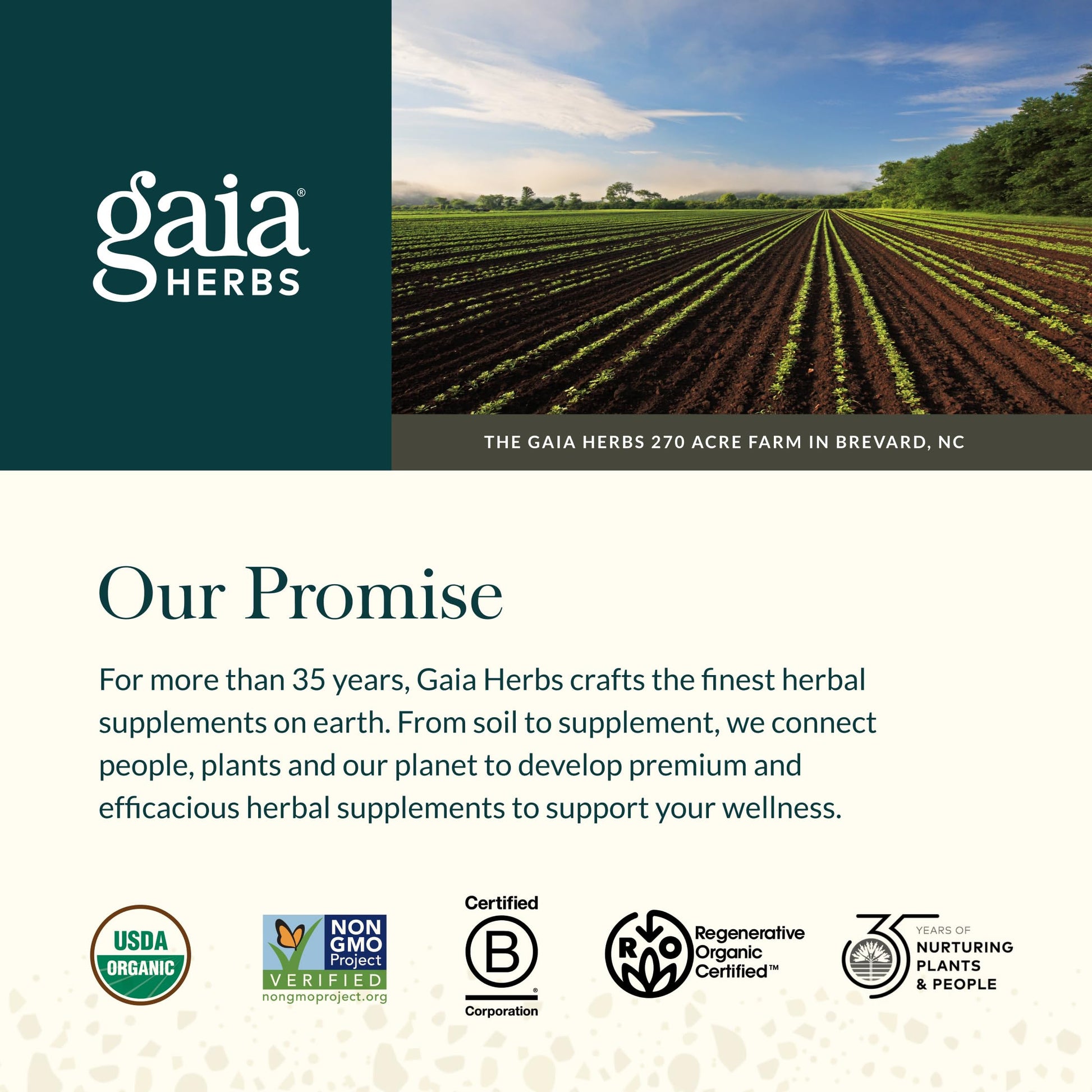 Gaia Herbs Ginger-Turmeric Postbiotic - Healthy Gut Support* - 60 Vegan Liquid Phyto-Caps (30 Servings) Gaia Herbs Au supplements