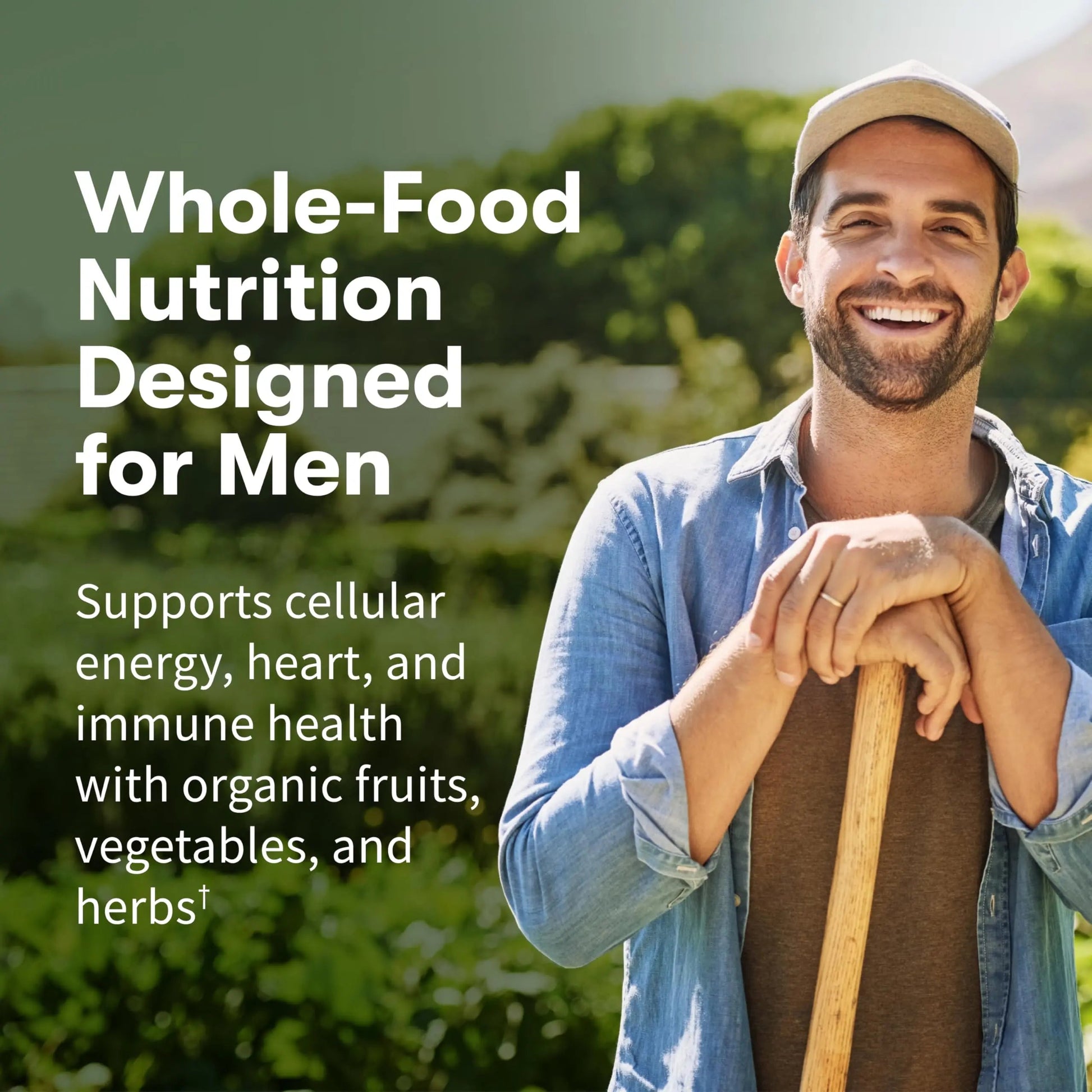 Garden of Life Once Daily Whole Food Multivitamin for Men, Organic Mens Vitamins & Minerals, Vitamin C, Zinc, Vegan Garden of Life Au supplements