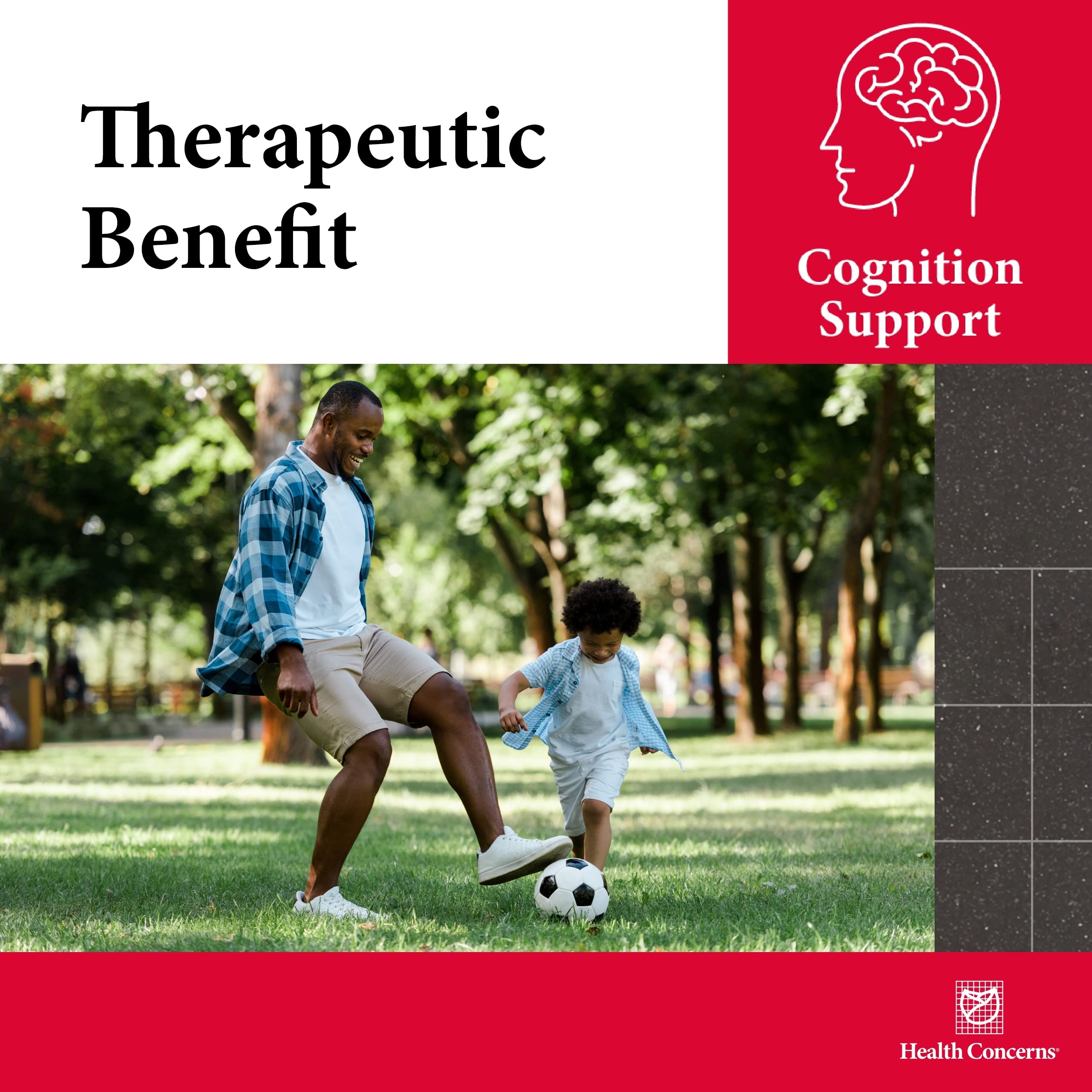 Health Concerns Cogni-Spark – Brain Support for Memory, Focus, and Mental Clarity – Alpha-GPC Choline Supplement for Cognition, Nerve Function & Longevity – Cognitive Health Formula – 30 Capsules Health Concerns Au supplements