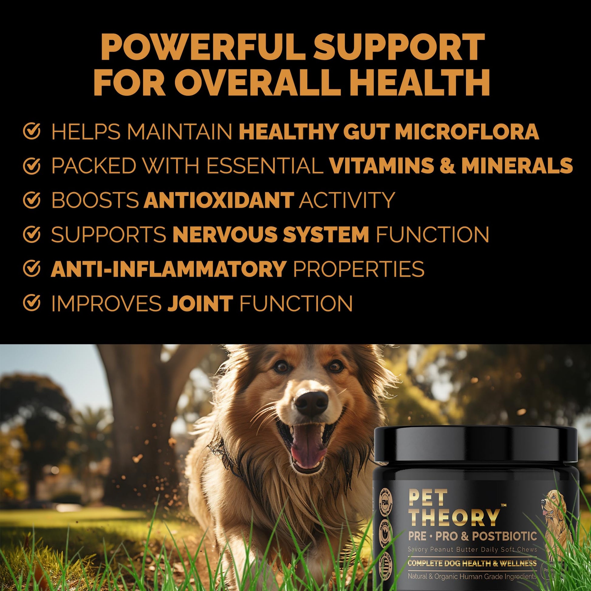 Pet Theory Probiotics for Dogs. Dog Digestive Health-Pre Pro and Postbiotic Combination-Pet Supplements for Gut Health-Supports Digestion, Boost Immunity-100CT Soft Chews Pet Theory Au supplements