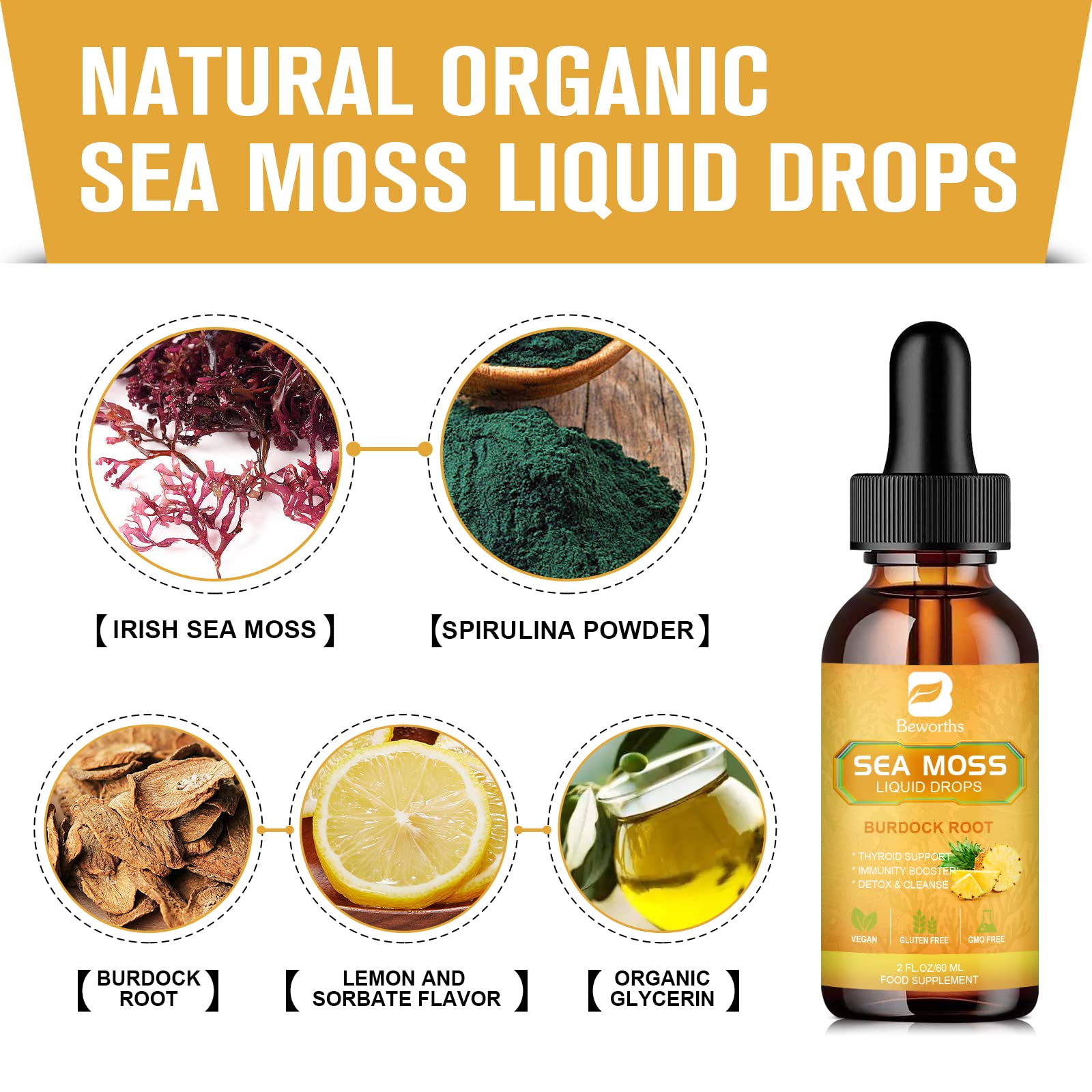 B BEWORTHS Sea Moss Liquid Drops - Organic Irish Sea Moss Gel with Burdock Root B BEWORTHS Au supplements
