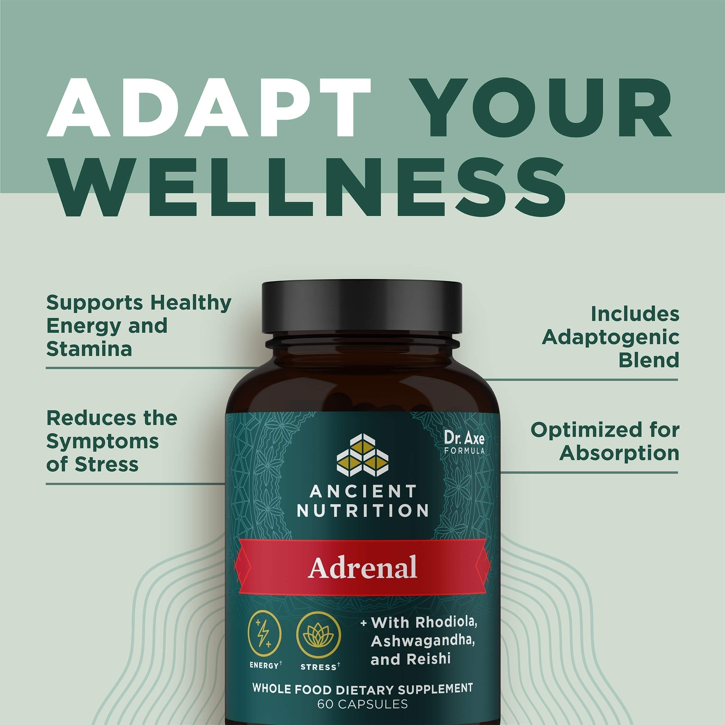 Ancient Nutrition Adrenal Support with Ashwagandha Supplement, Helps Reduce Stress & Fatigue, Paleo and Keto Friendly, Gluten Free, 1300mg, 60 Capsules Ancient Nutrition Au supplements
