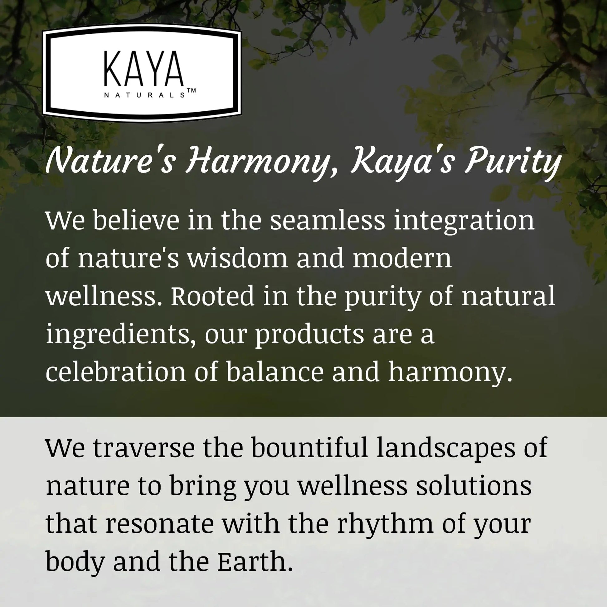 Kaya Naturals Moringa Leaf Extract - Complete Greens Superfood Supplement - Pure Miracle Tree Moringa - Boost Energy Naturally Kaya Naturals Au supplements