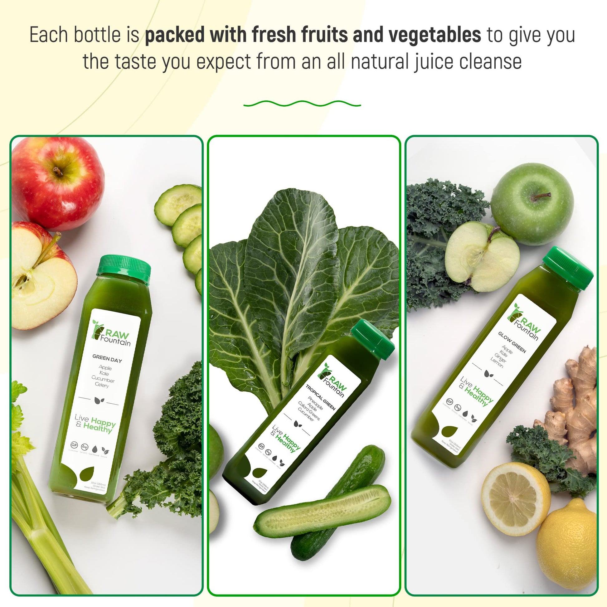 1 Day Green Juice Cleanse by Raw Fountain, All Natural Raw, Vegan Detox, Cold Pressed Raw Fountain Au supplements
