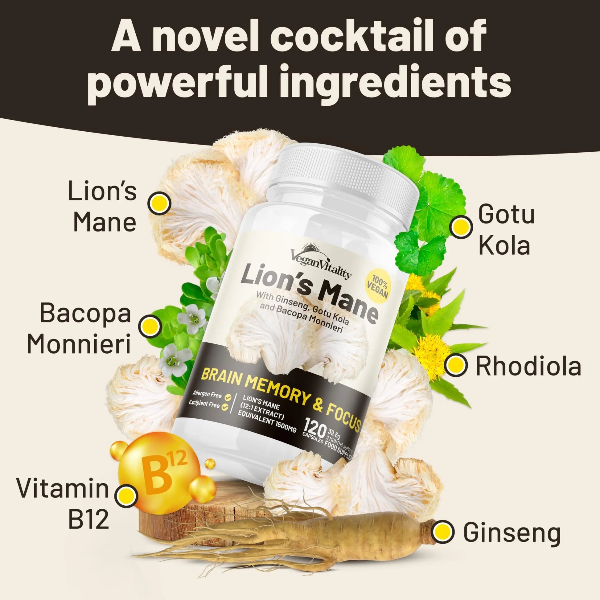 Vegan Vitality Lion's Mane x General Health Combo Bundle - 6 Months Lion's Mane and Multivitamins Vegan Vitality Au supplements