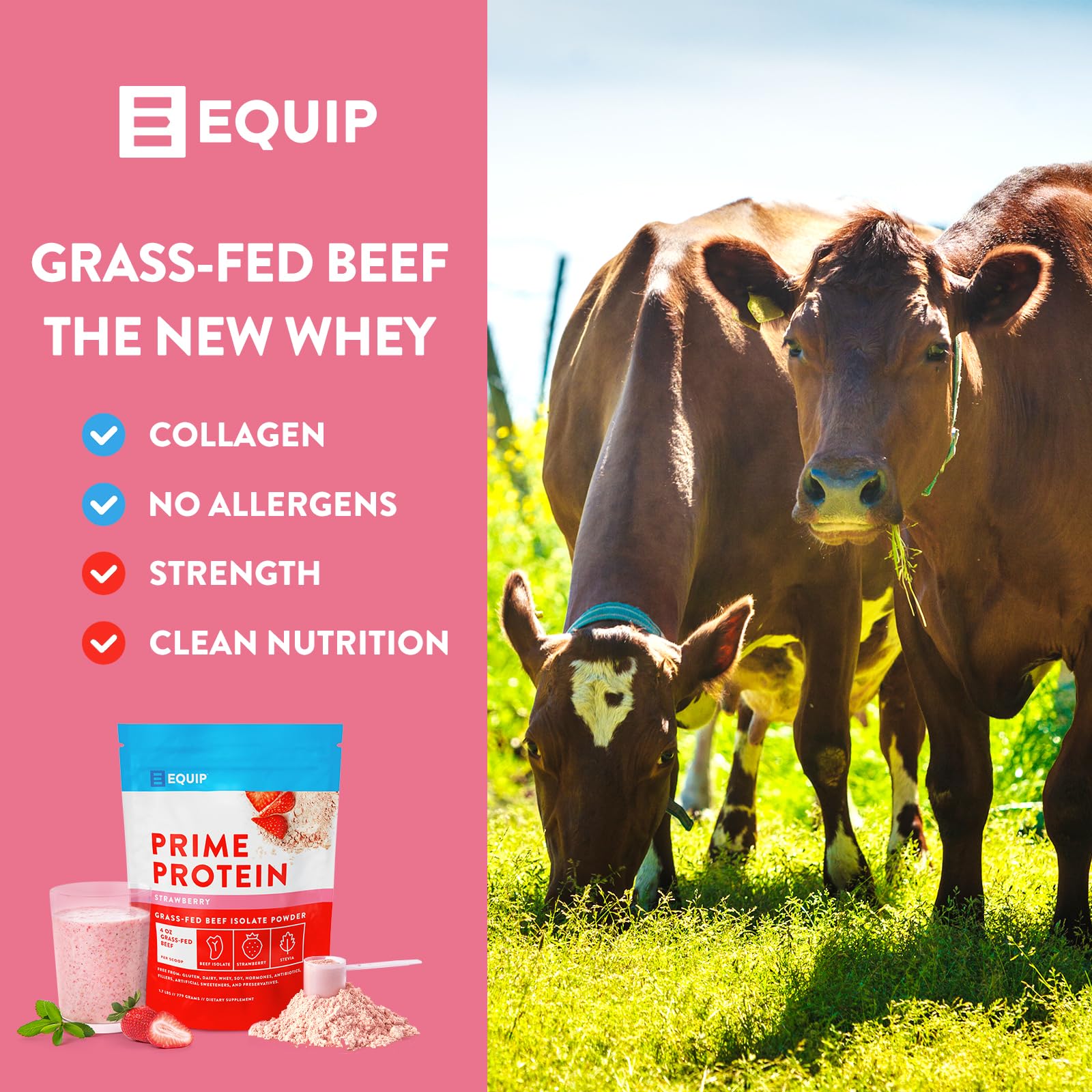 Equip Foods Prime Protein - Grass-Fed Beef Protein Powder Isolate -Paleo and Keto Equip Au supplements