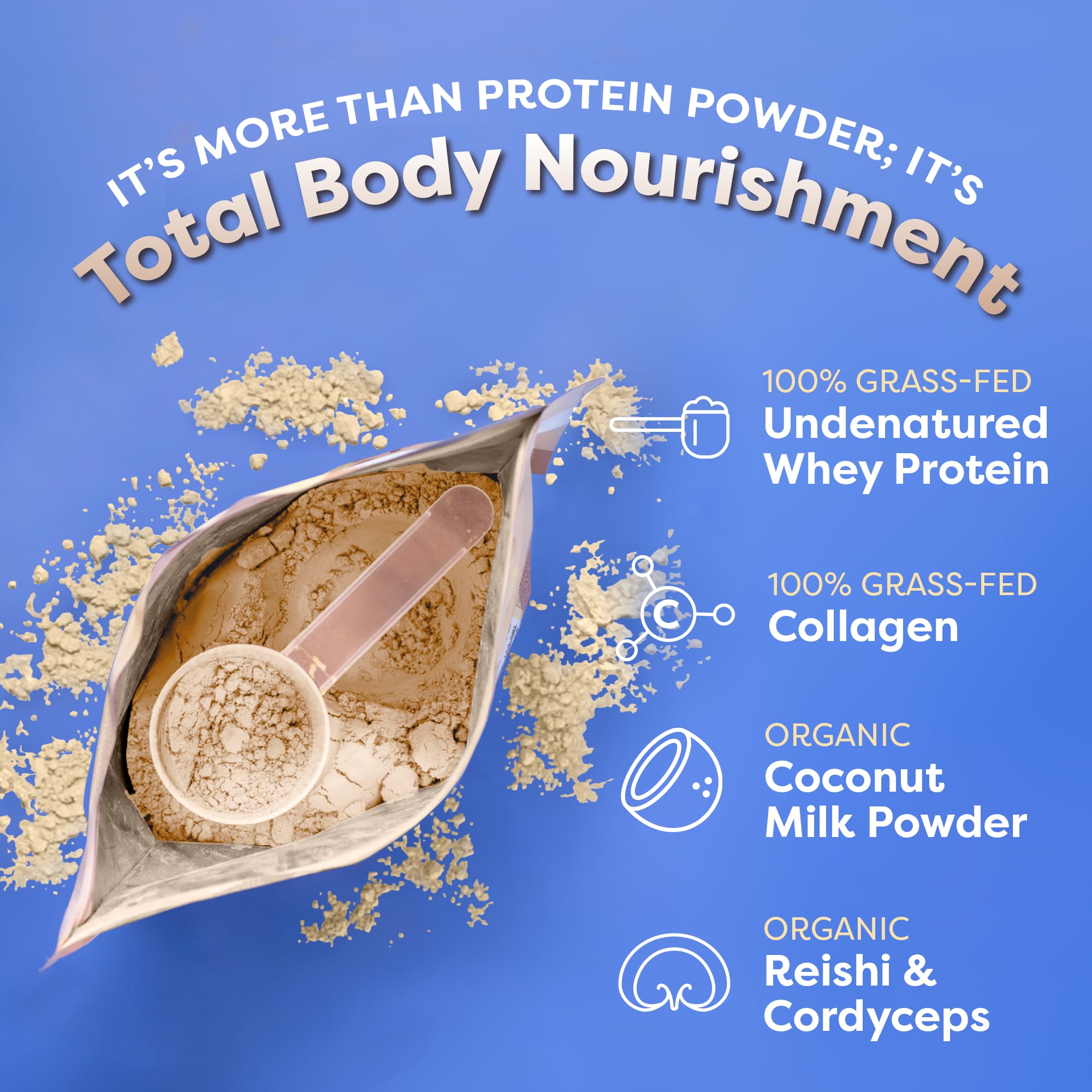 FlavCity Protein Powder Smoothie, Vanilla - 100% Grass-Fed Whey Protein FlavCity Au supplements