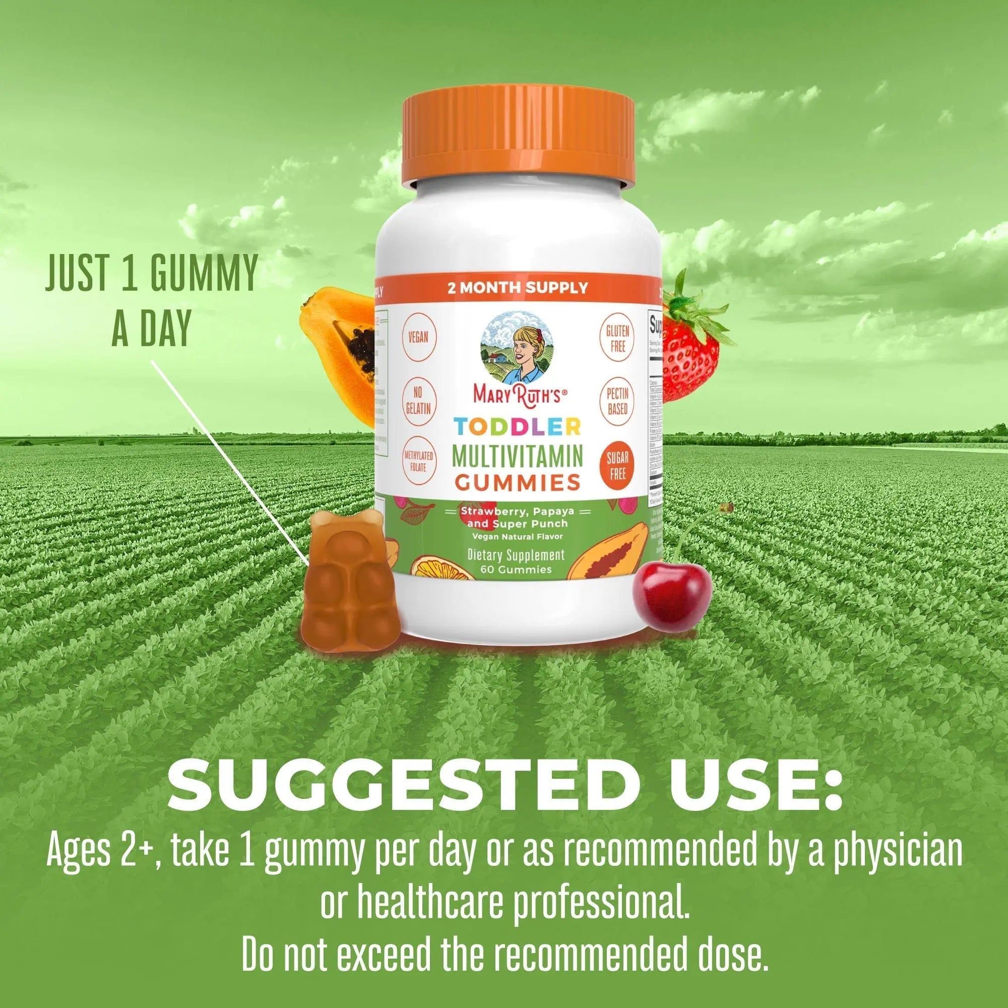 MaryRuth Organics Sugar Free Vitamin Gummies for Kids Age 2 | 2 Month Supply Multivitamin with Vitamin C, D3, Zinc | 1 Gummy Per Day | Toddler Vitamins MaryRuth Organics Au supplements