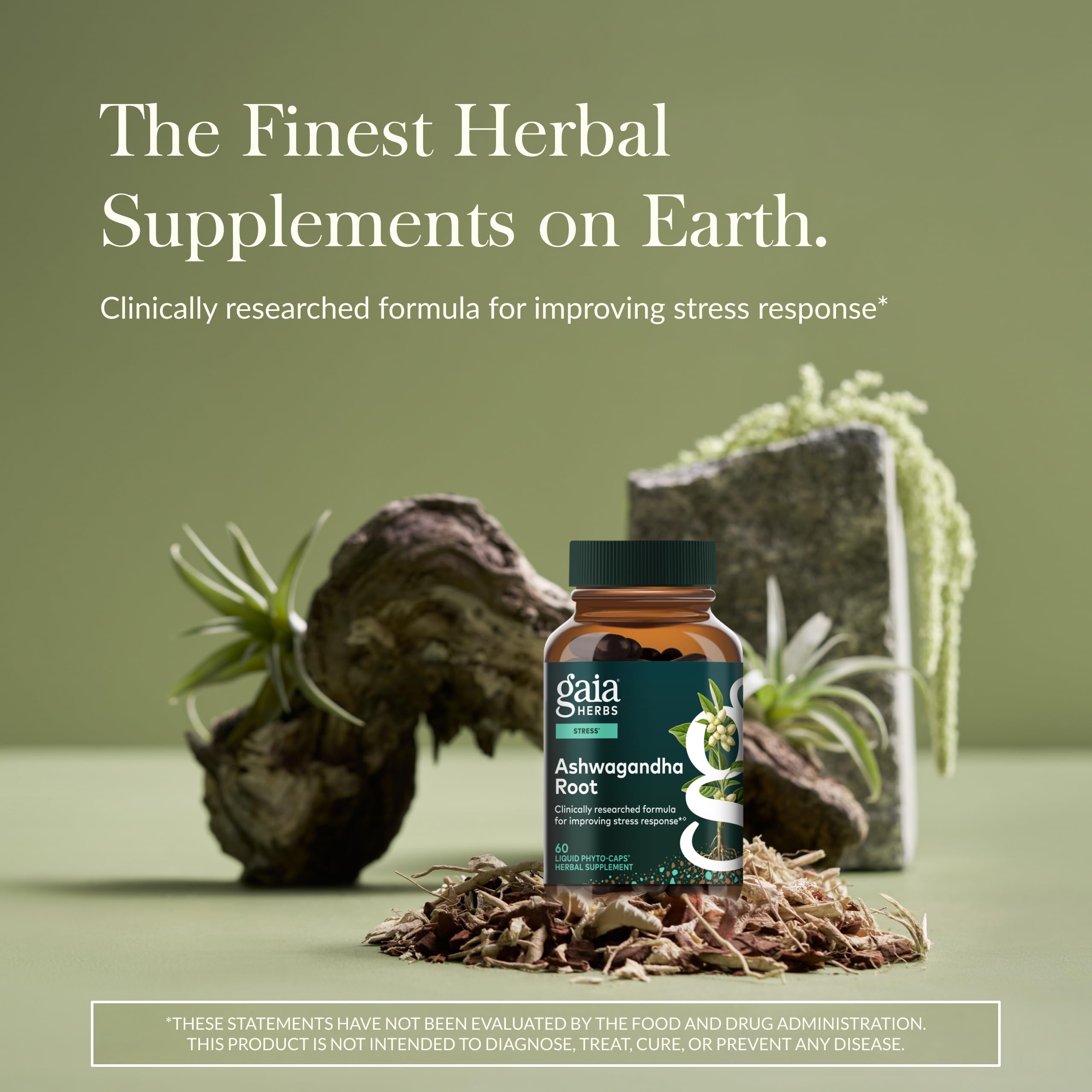 Gaia Herbs Ashwagandha Root - Stress Relief & Sleep Support Supplement - Supports Balanced Energy Levels & Positive Outlook* - 60 Vegan Liquid Phyto-Caps (30 Servings) Gaia Herbs Au supplements
