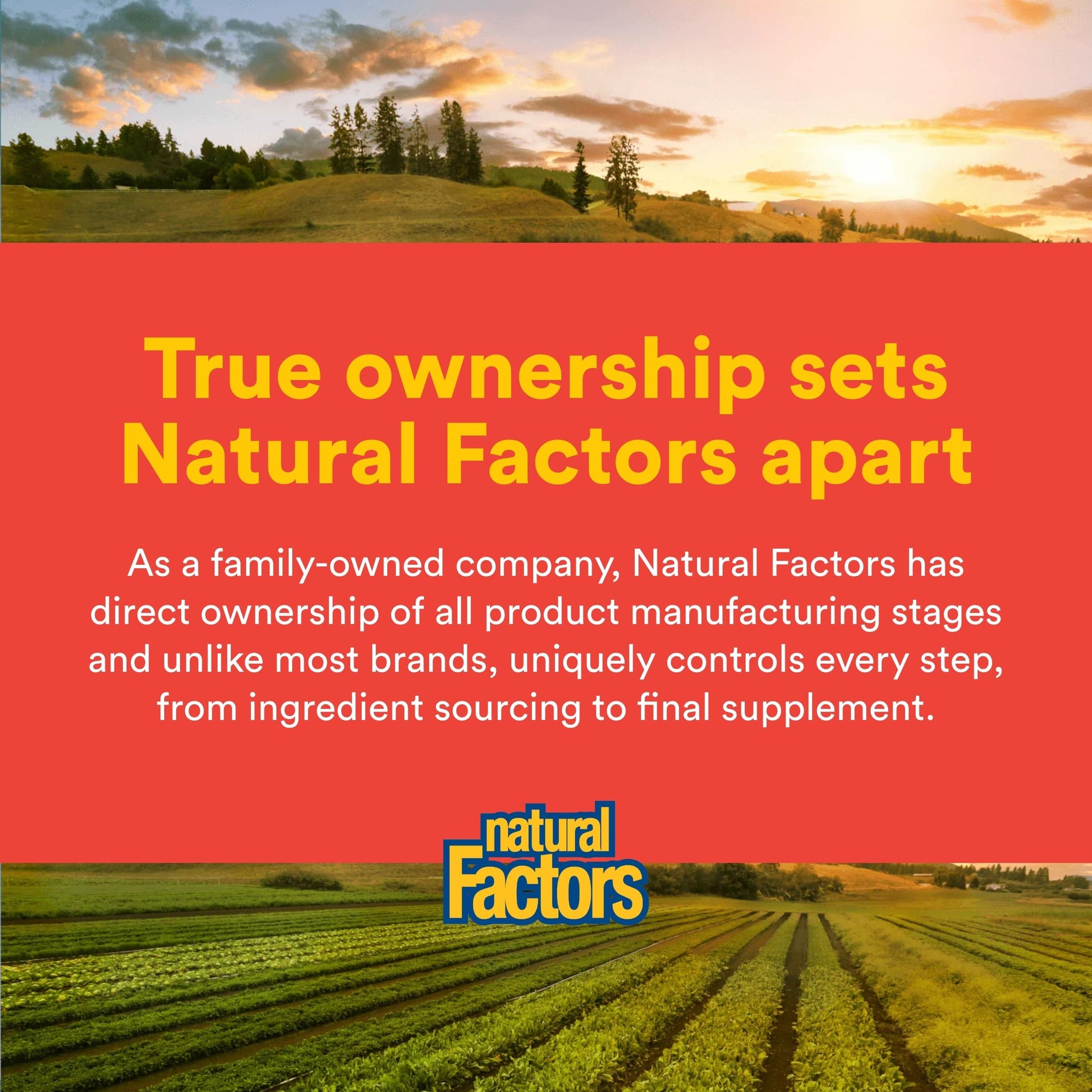 Natural Factors, Celadrin Joint Health, Promotes Flexibility, Mobility and Joint Function, 90 Softgels Natural Factors Au supplements