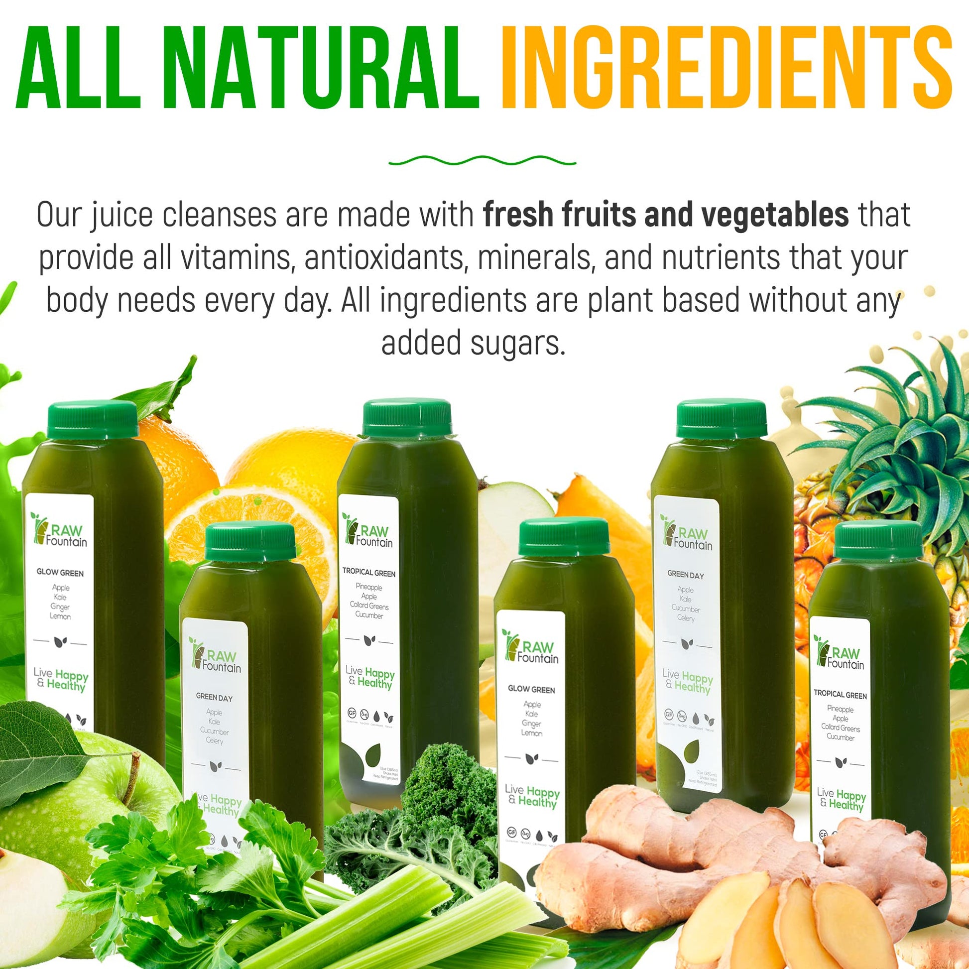 Raw Fountain 5 Day Green Juice Cleanse, All Natural Raw, Vegan Detox, Cold Pressed Raw Fountain Au supplements