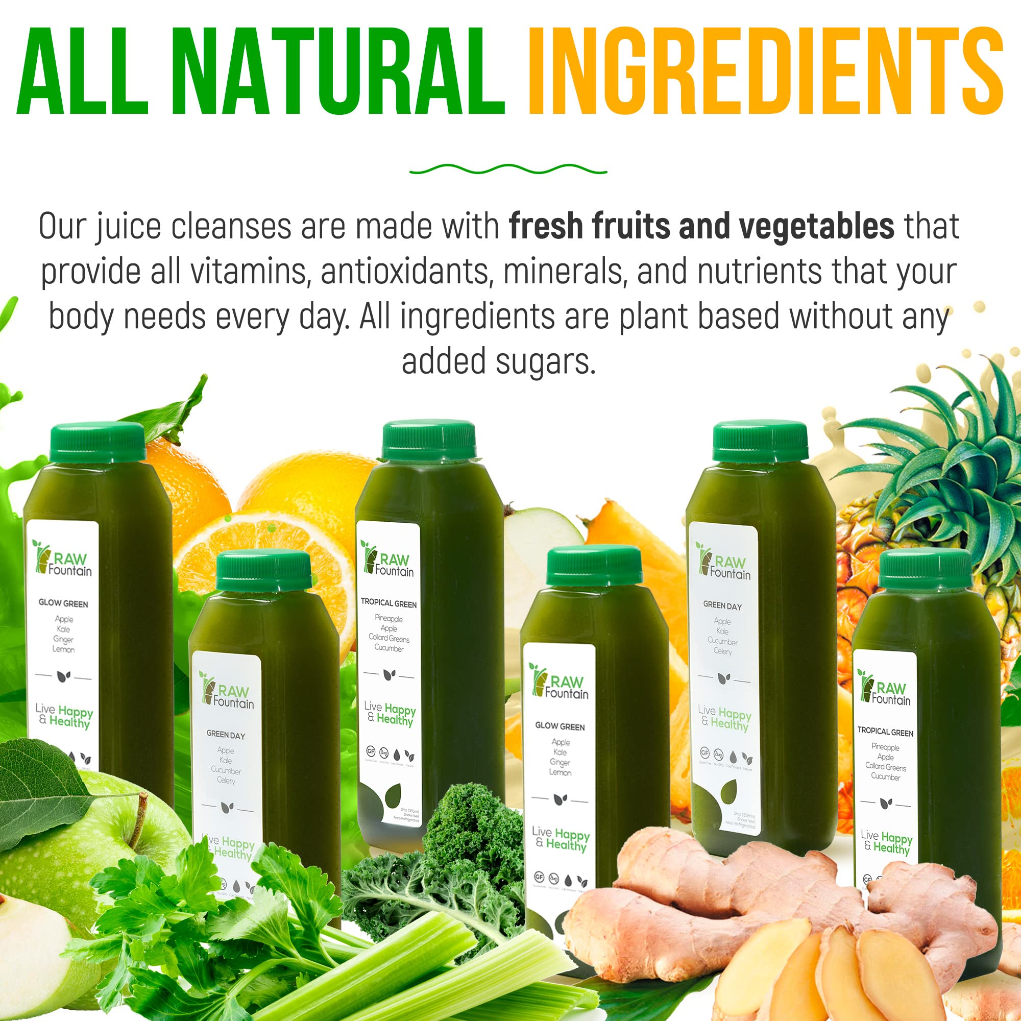 Raw Fountain 5 Day Green Juice Cleanse, All Natural Raw, Vegan Detox, Cold Pressed Raw Fountain Au supplements