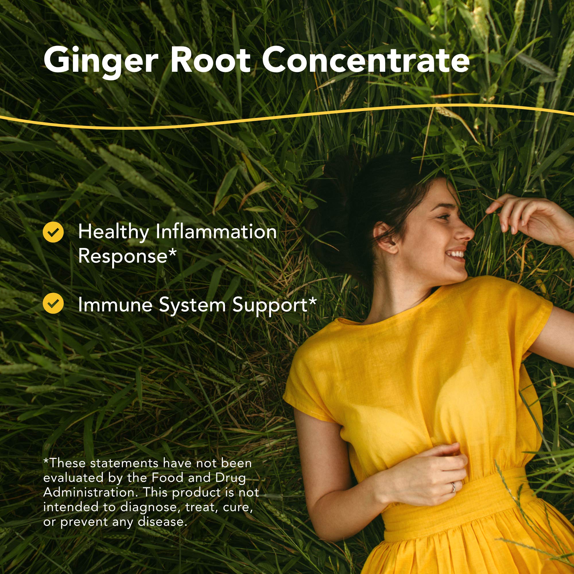 NORTH AMERICAN HERB & SPICE Inflam-eeZ - 90 Capsules - Supports Healthy Immune & Inflammatory Response - Ginger Root, Camu Camu Berries, Bromelain & Papain Plus - Non-GMO - 45 Total Servings NORTH AMERICAN HERB & SPICE Au supplements