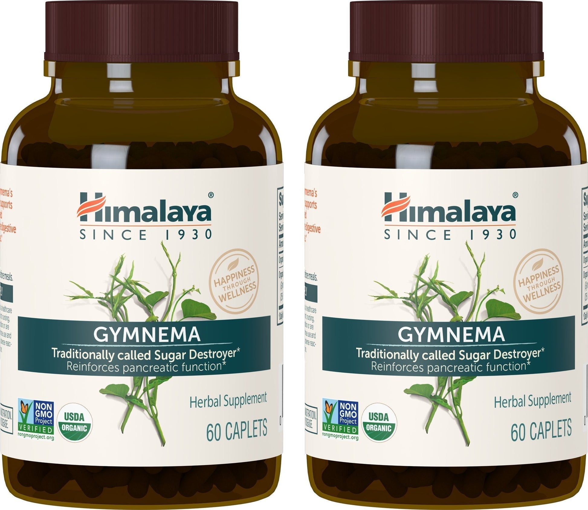 Himalaya Organic Gymnema Sylvestre for Glucose Metabolism, 700 mg Himalaya Au supplements