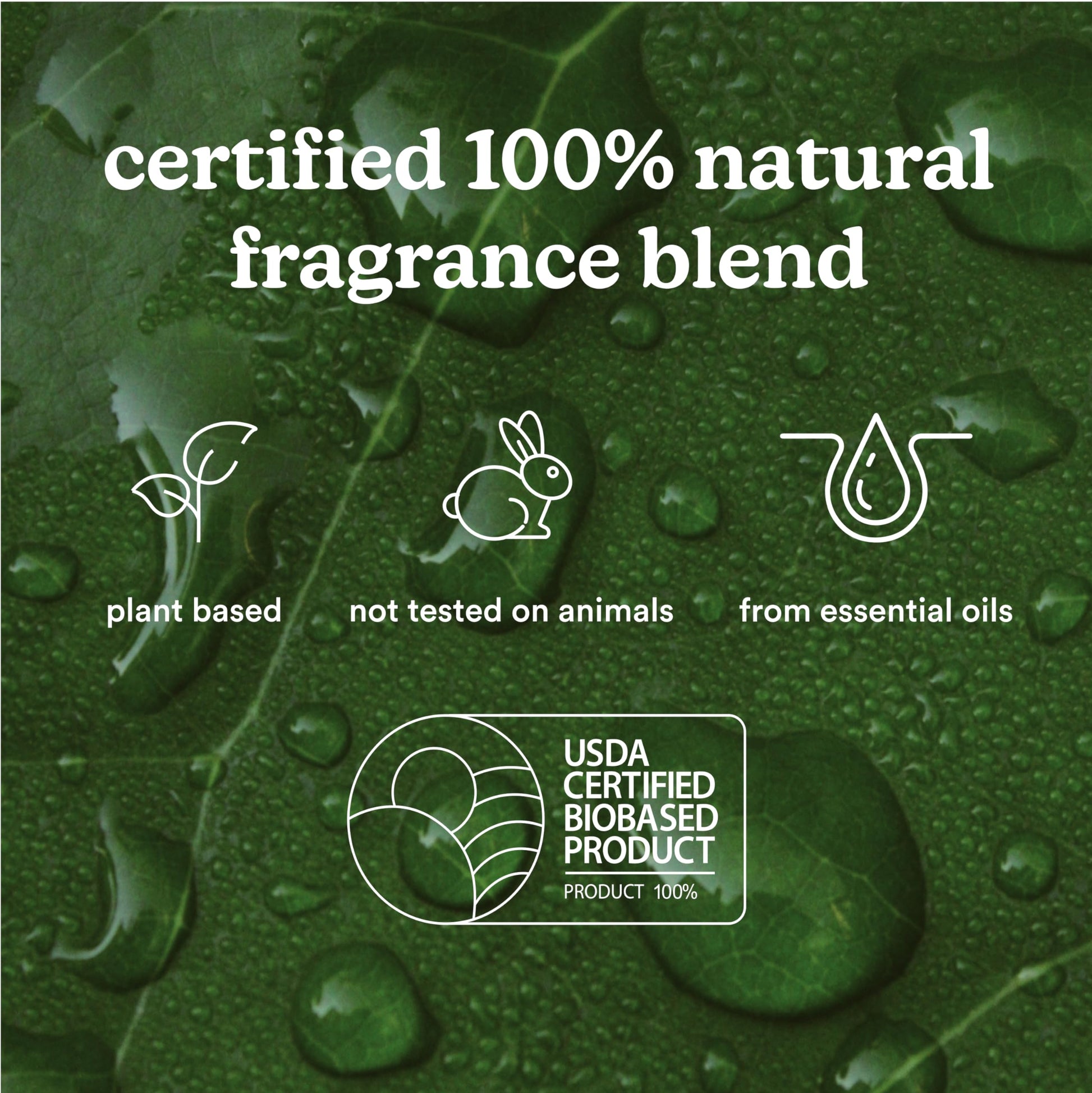 Homedics SereneScent Moroccan Magic Fragrance Oil Bottle, 120 ml, Clean & Natural, Fruity & Woody Homedics Au supplements