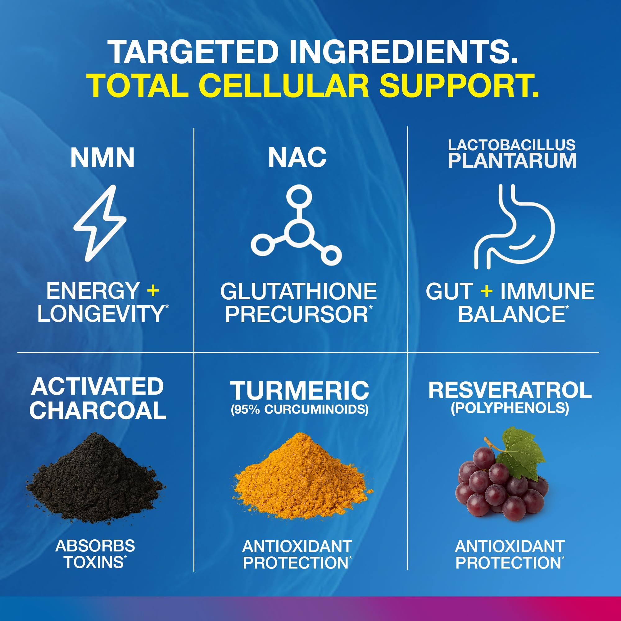 Vitology MP-PRO Microplastics Defense | 15 Billion CFU Probiotic + Antioxidant Blend | NMN, NAC, Glutathione, Resveratrol & Charcoal | Supports Cellular Detox, Longevity & Gut Health – 60 Capsules Vitology Au supplements