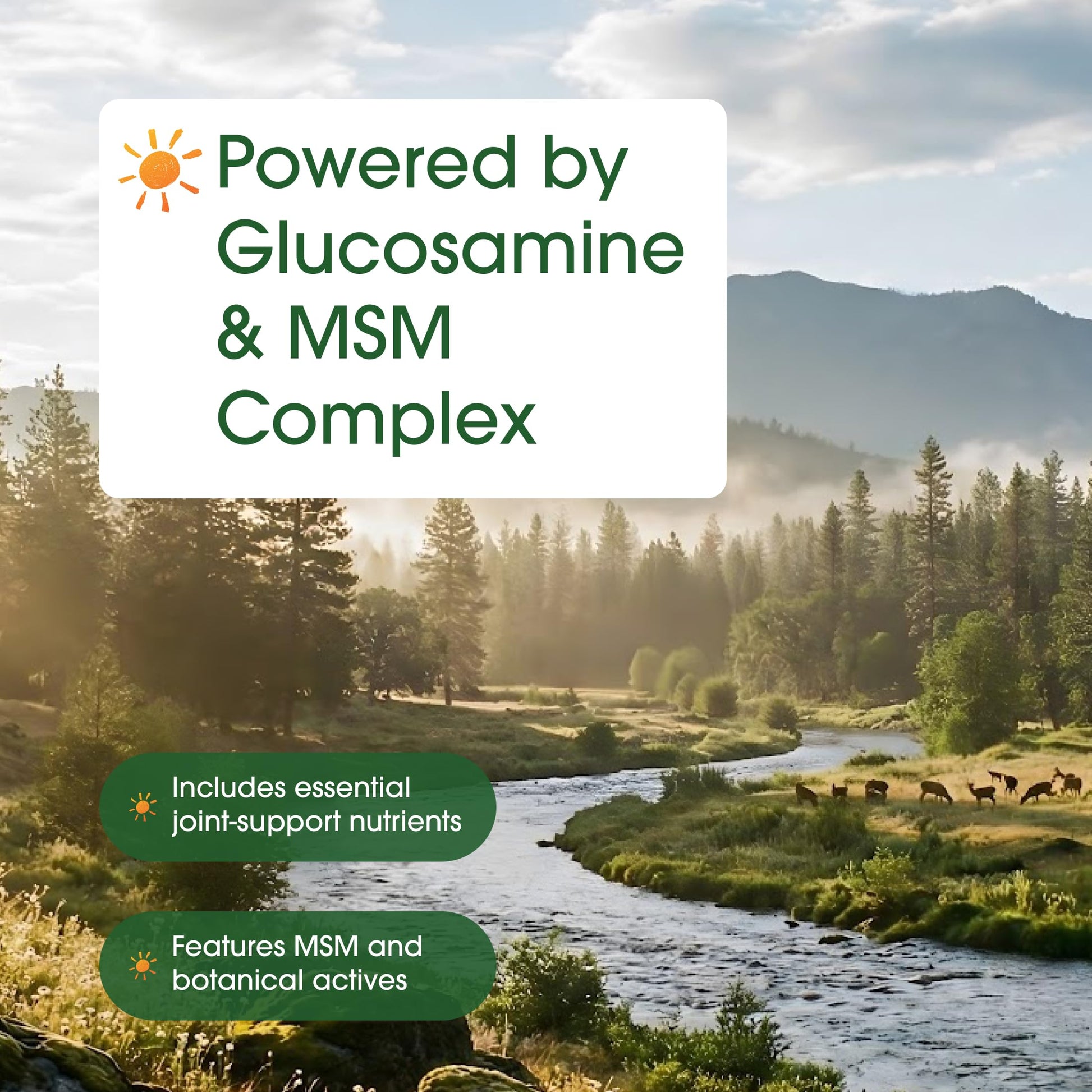 NatureBell Advanced Glucosamine Chondroitin & MSM - 240 Capsules - 10-in-1 Joint Support Complex* - Includes Hyaluronic Acid, Turmeric, Glucosamine, Collagen & More NatureBell Au supplements