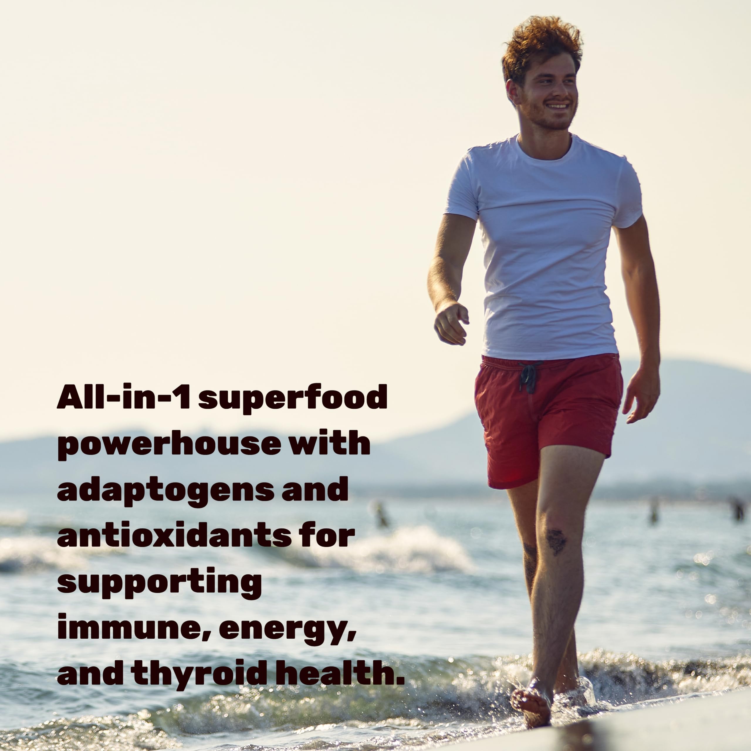 DEAL SUPPLEMENT Irish Sea Moss 240 Veggie Capsules – 14 Superfood Complex with Black Seed Oil, Ashwagandha, & Ginger DEAL SUPPLEMENT Au supplements