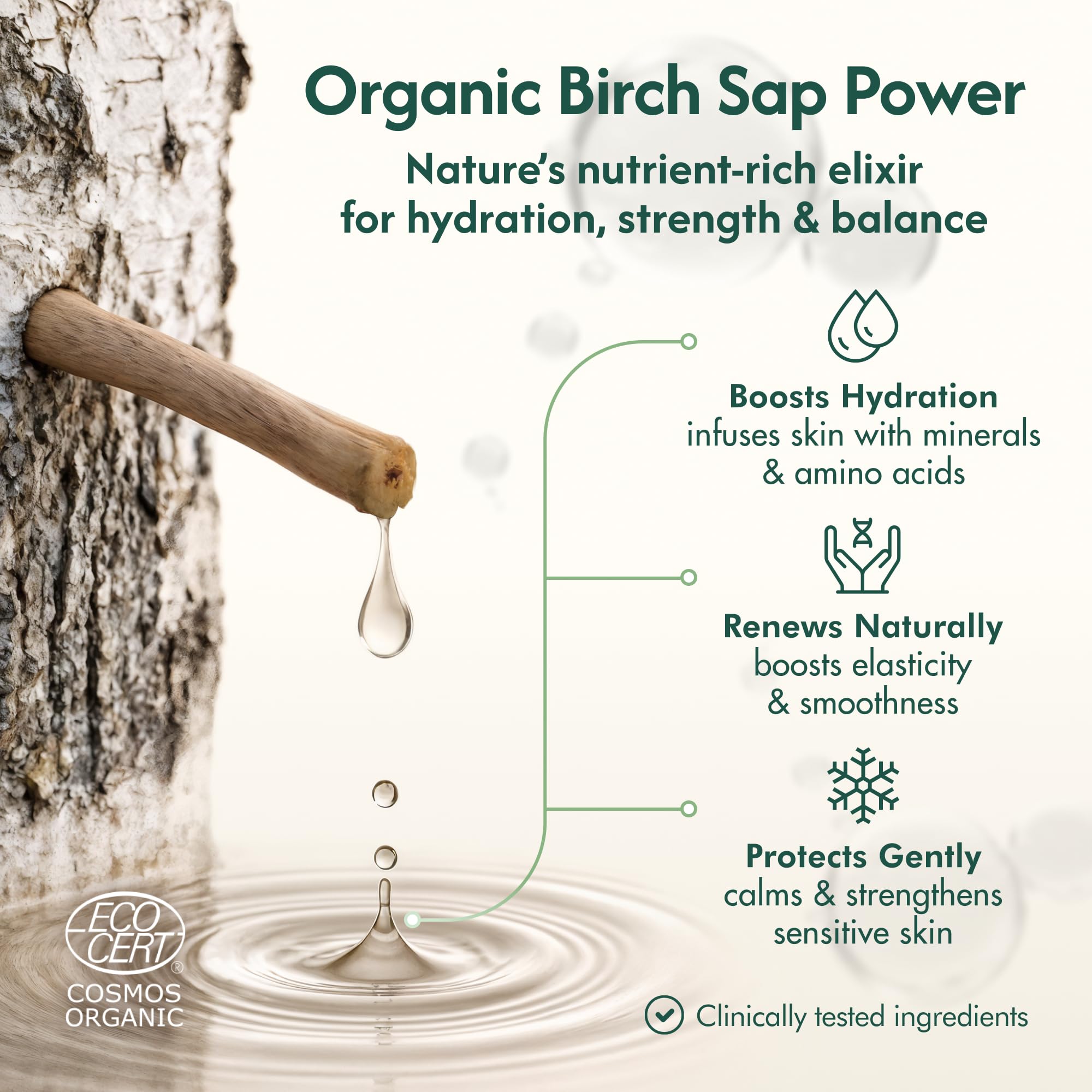 Nordic Organic Birch Sap Face Mist – COSMOS Certified Organic Formula with Hyaluronic Acid & Chaga Mushroom, Fragrance Free, Made in Finland 3.38 oz (100 ml), 1 Bottle Nordic Organic Au supplements