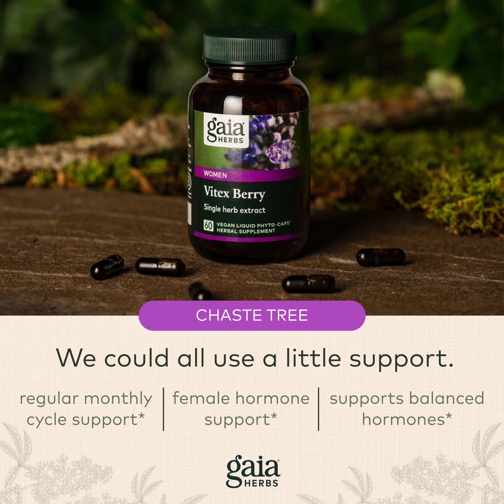 Gaia Herbs Vitex Berry (Chaste Tree) - Supports Hormone Balance & Fertility Gaia Herbs Au supplements